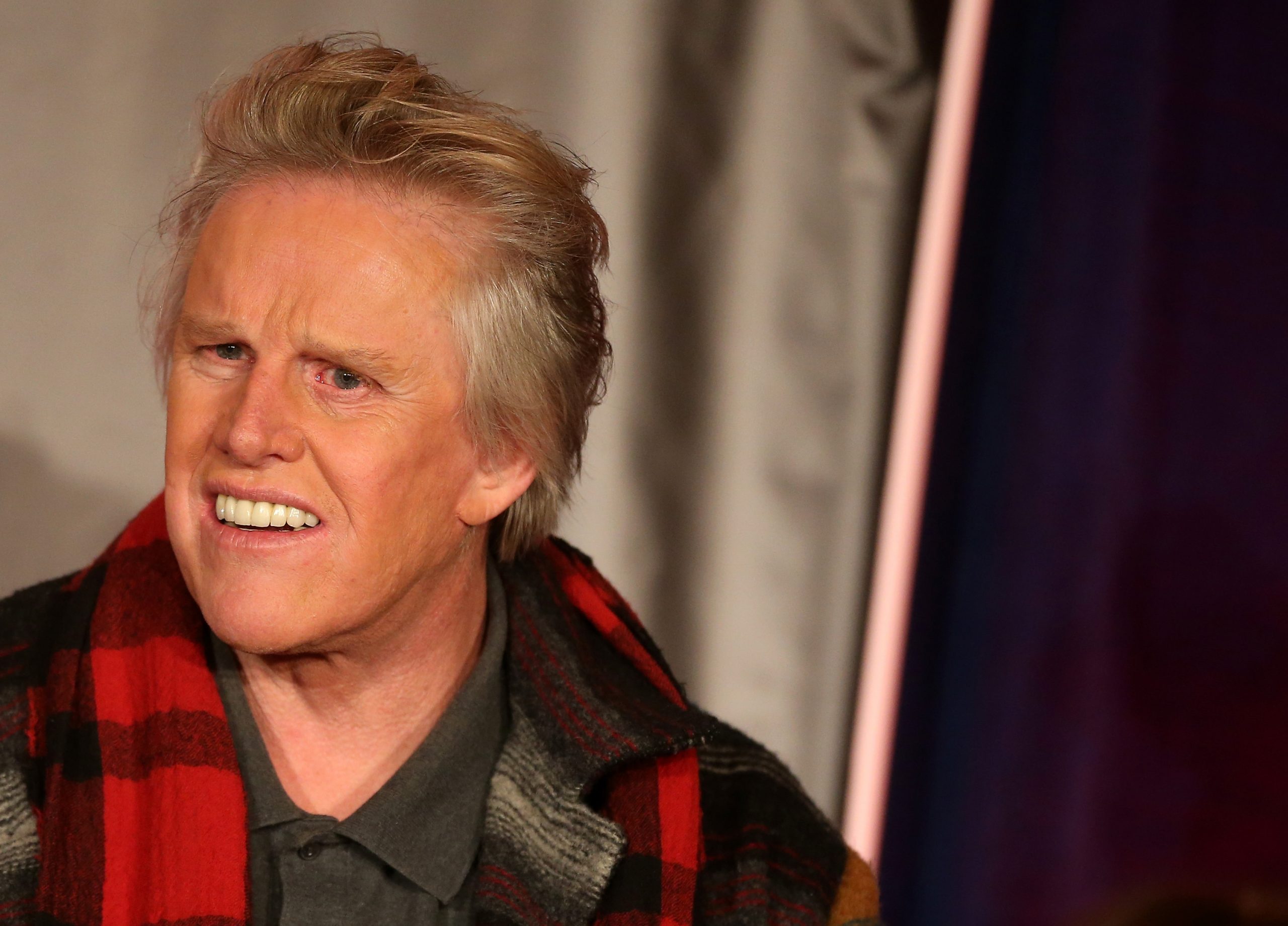 Gary Busey photo 3