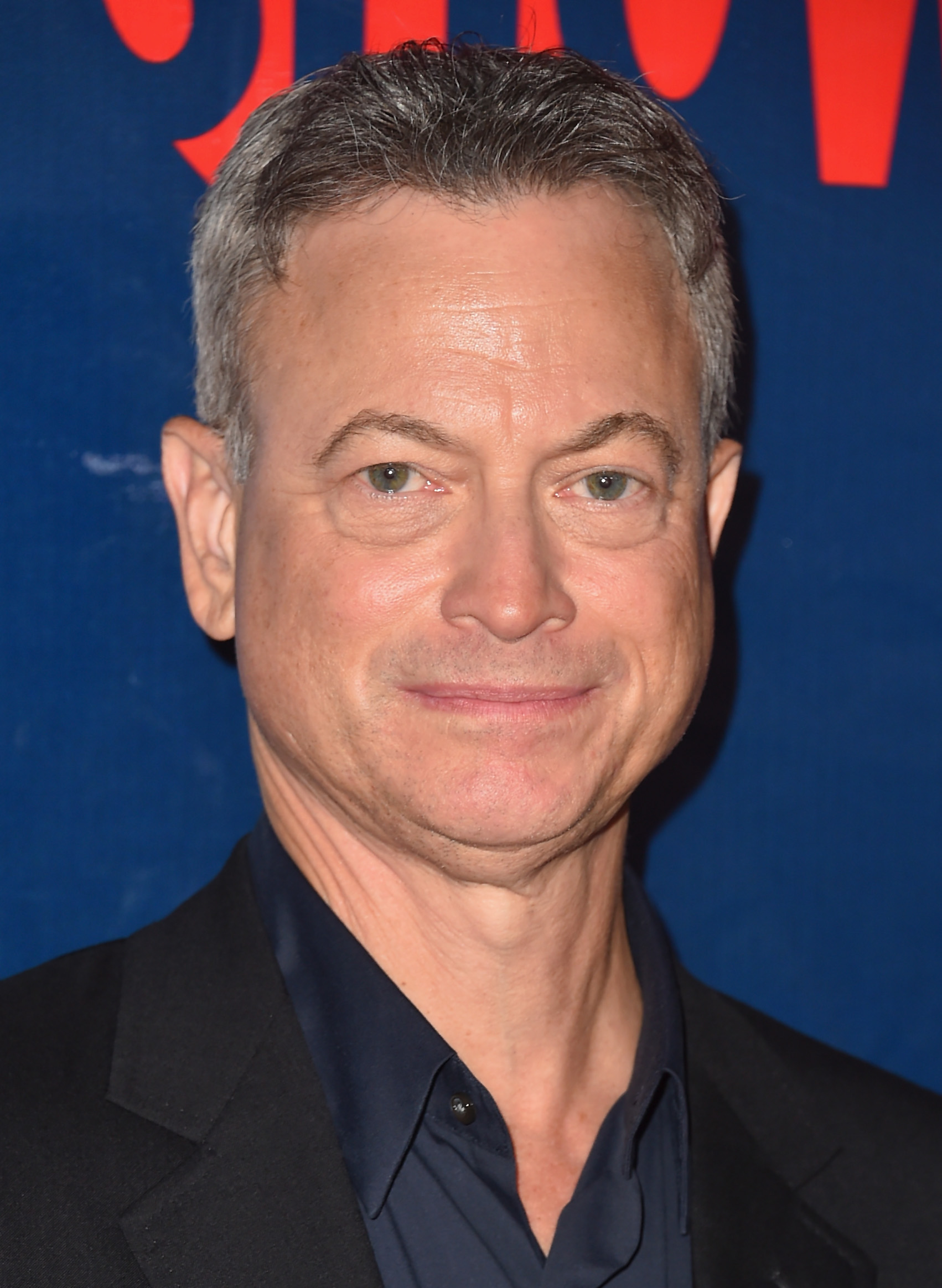 Gary Sinise photo 2