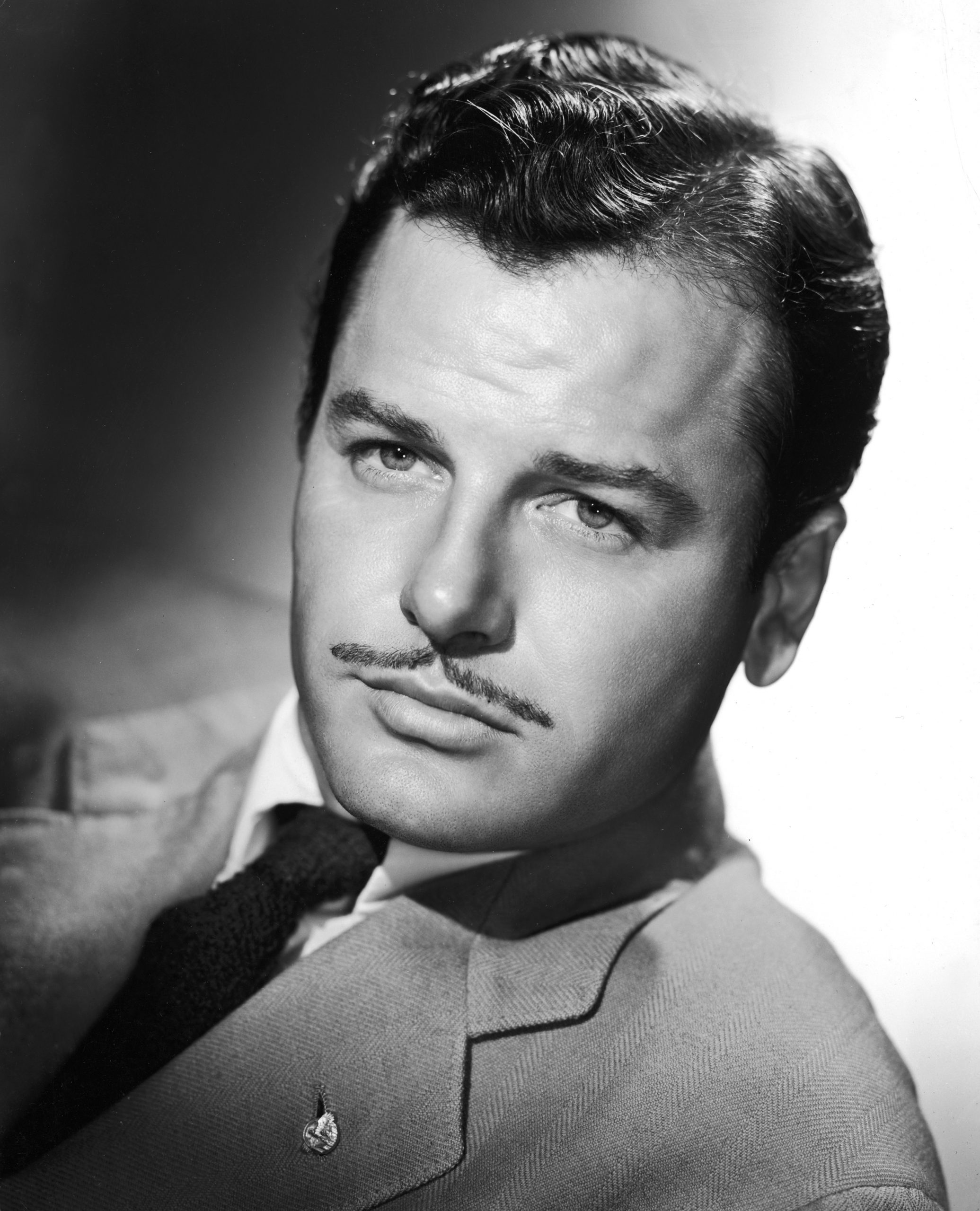 Gig Young photo