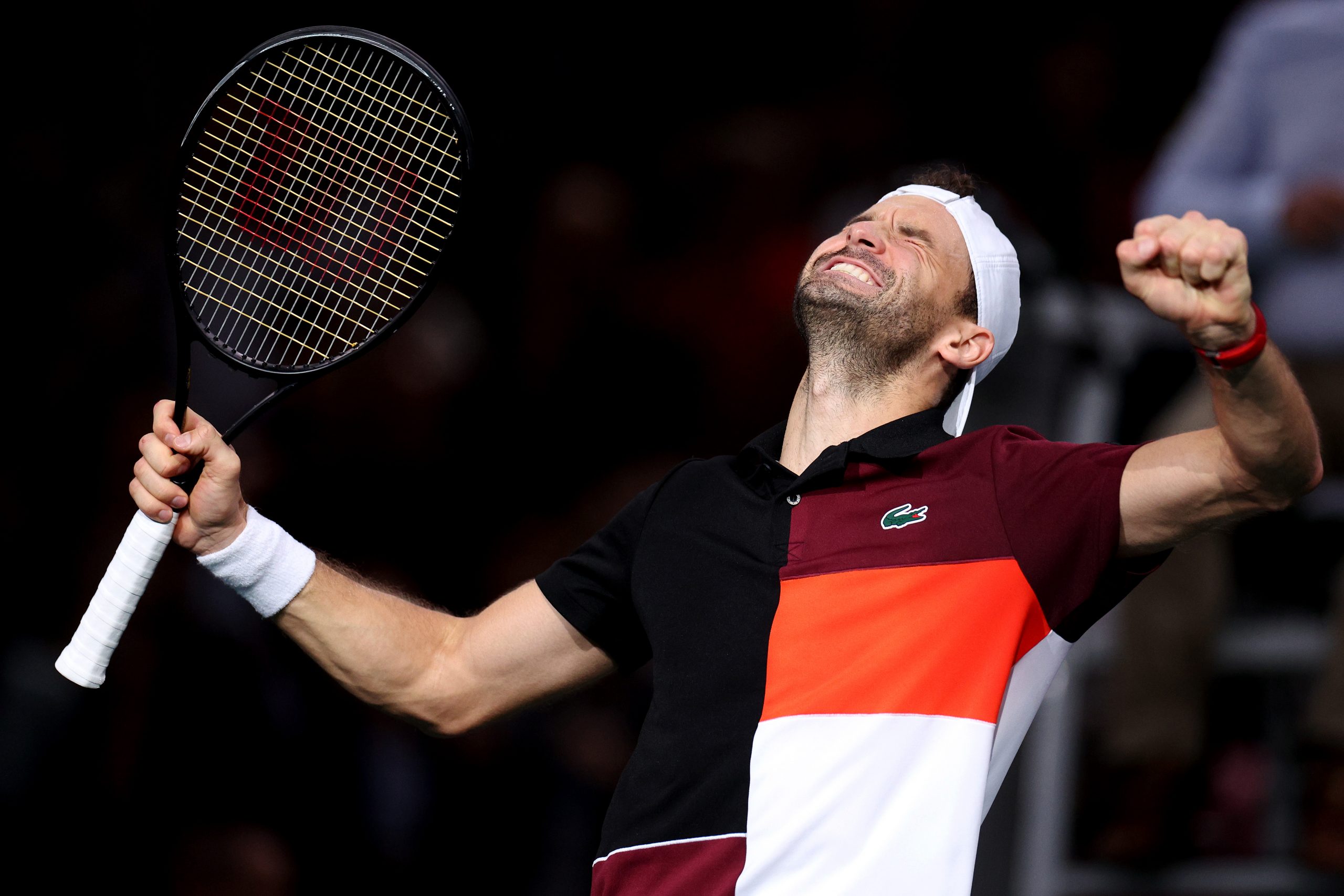 Grigor Dimitrov photo 2