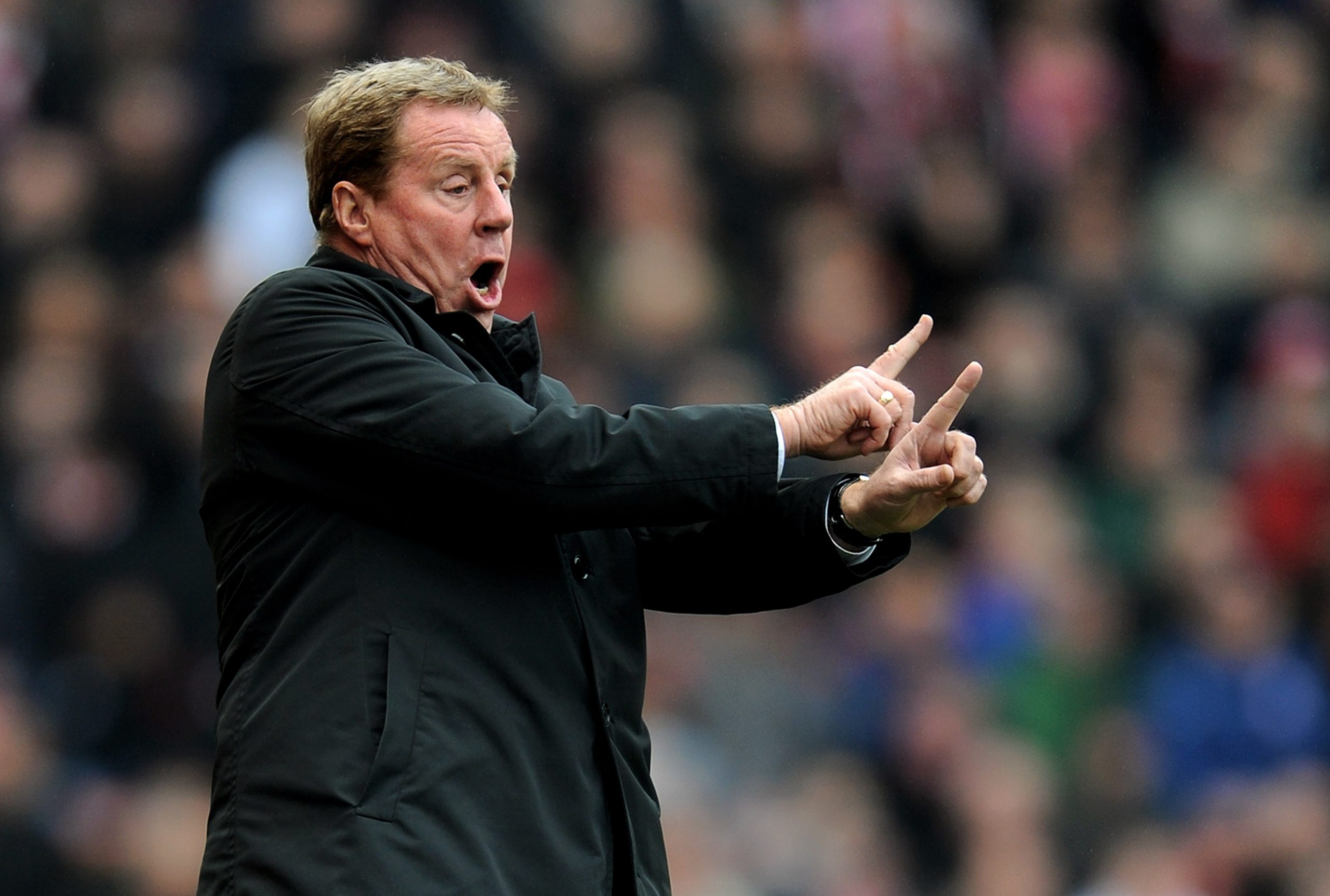 Harry Redknapp photo