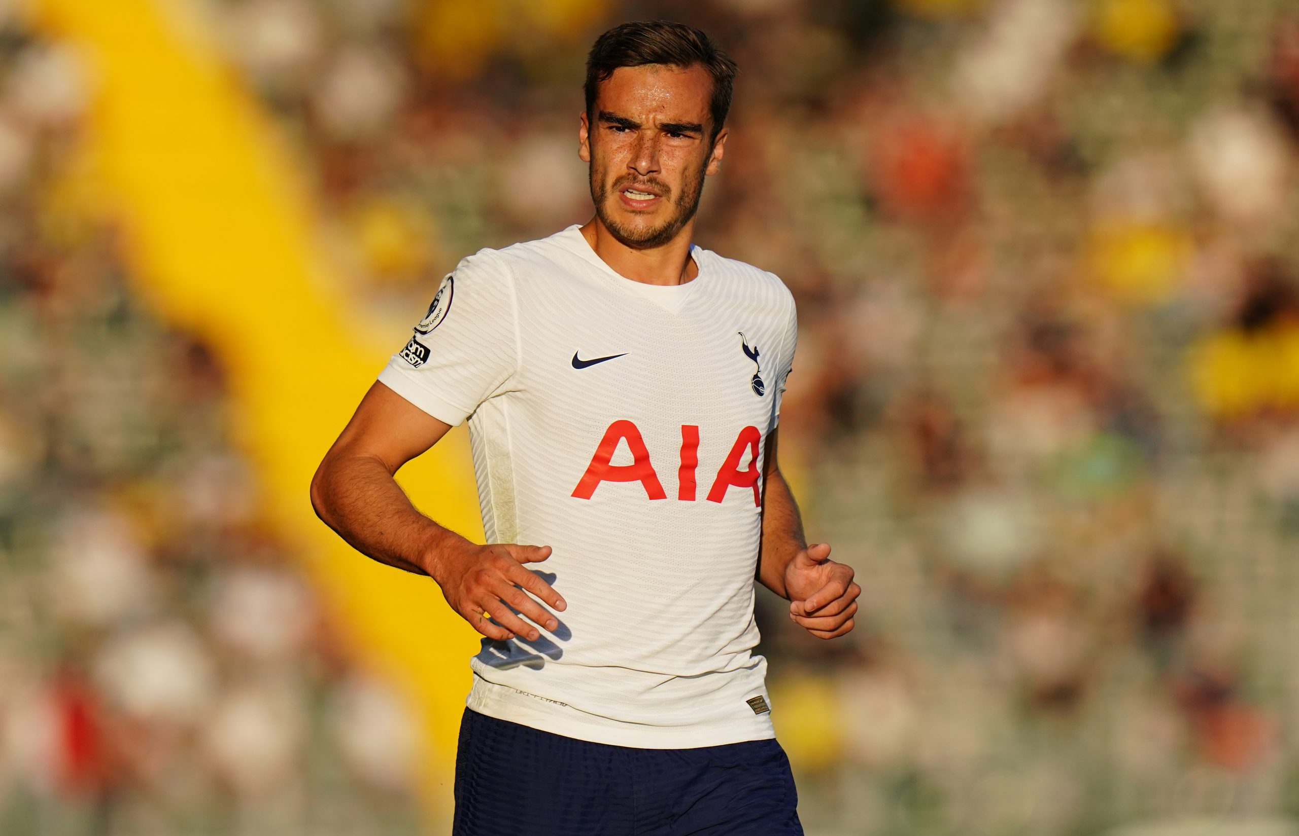 Harry Winks photo 2