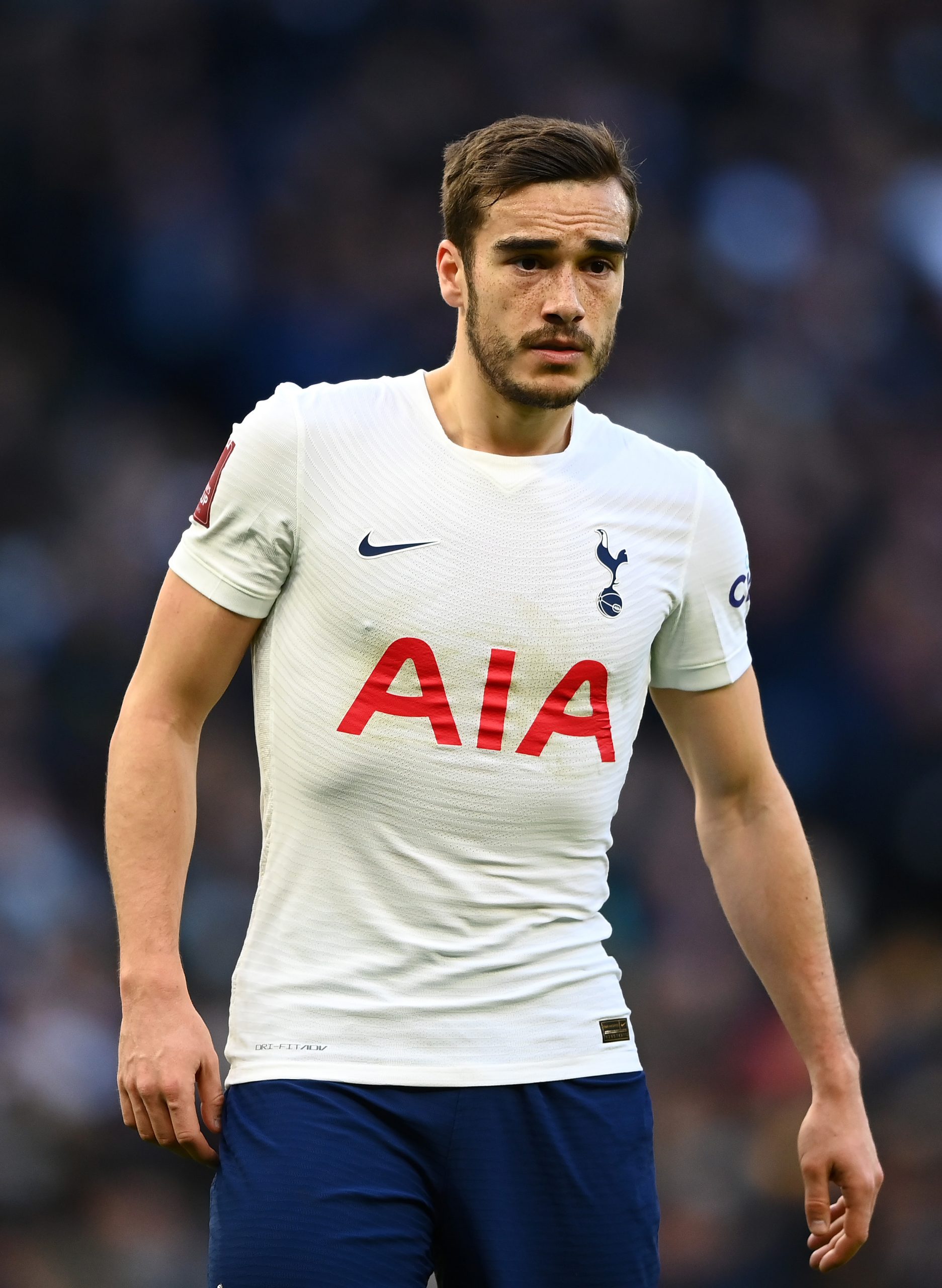 Harry Winks photo 3