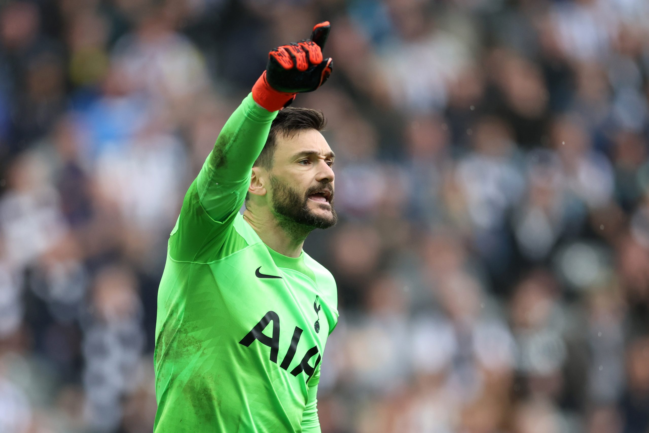 Hugo Lloris photo