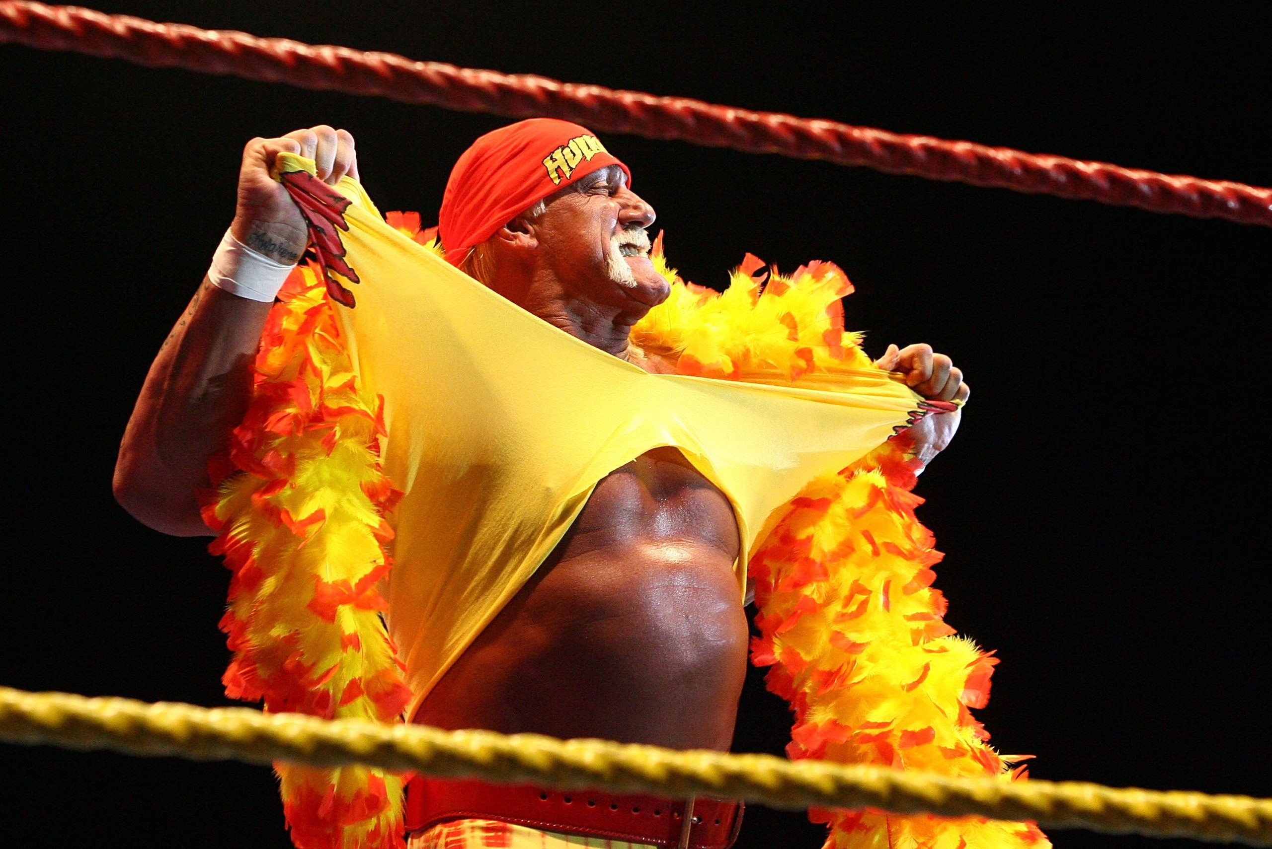Hulk Hogan photo 3