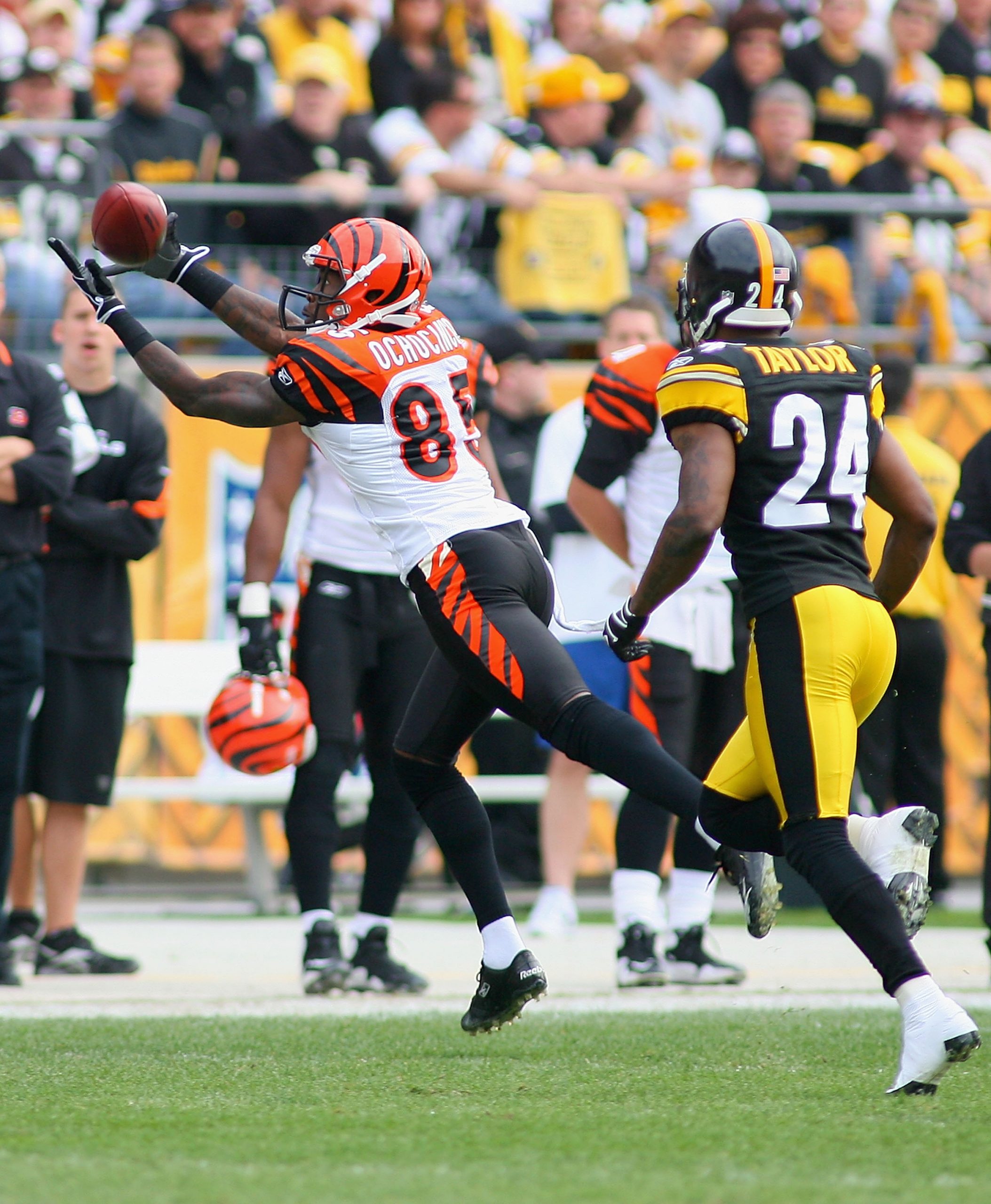 Ike Taylor photo 2