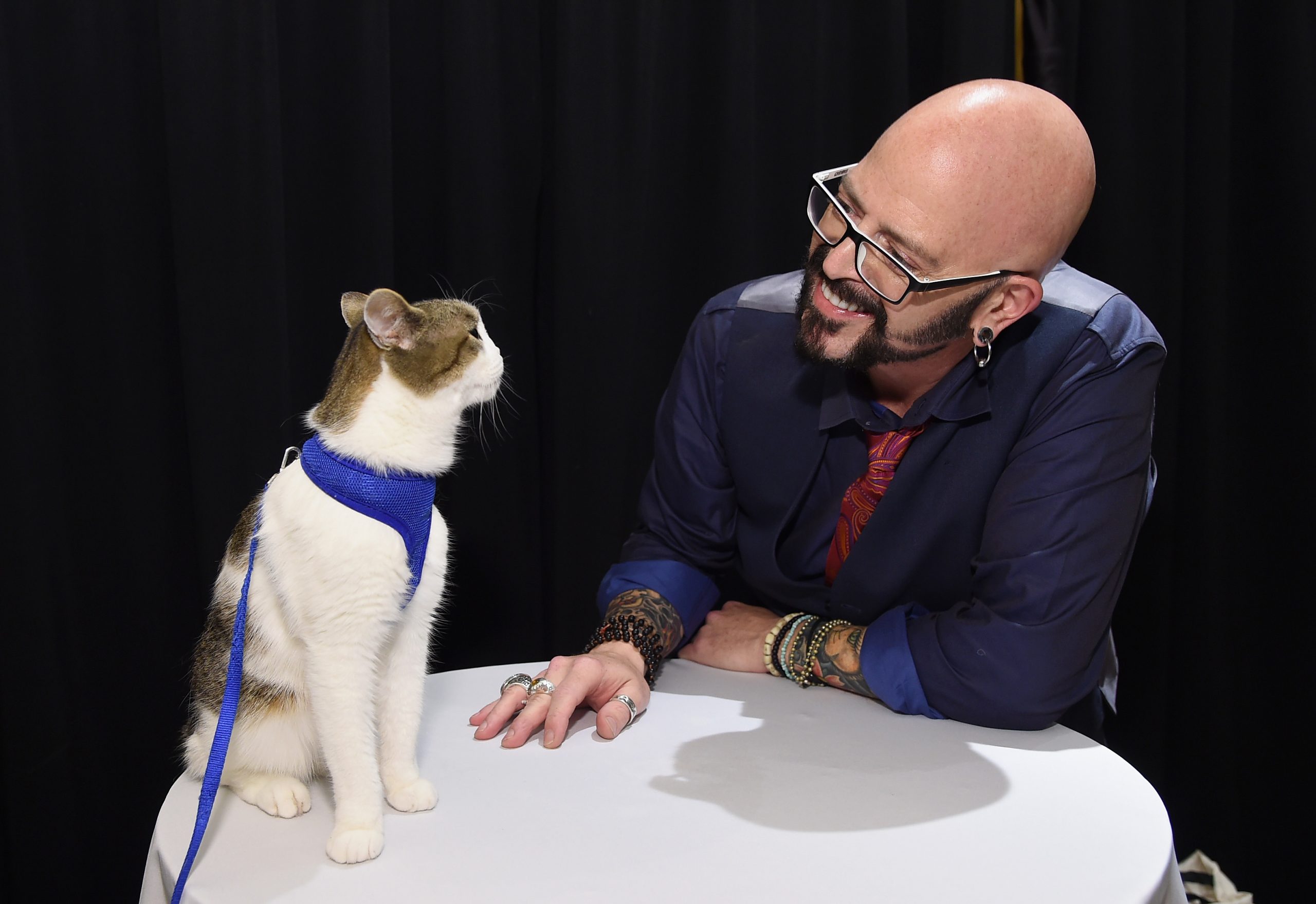 Jackson Galaxy photo 2