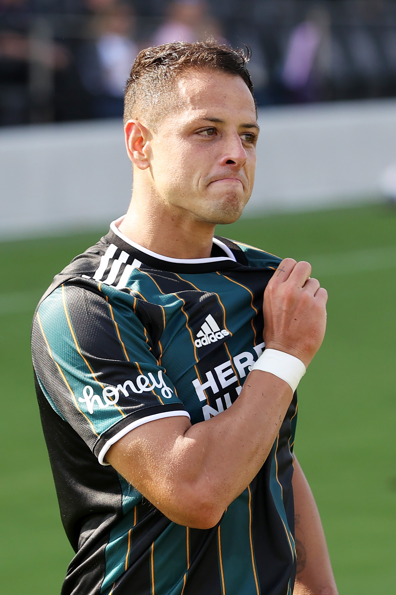 Javier Hernandez photo