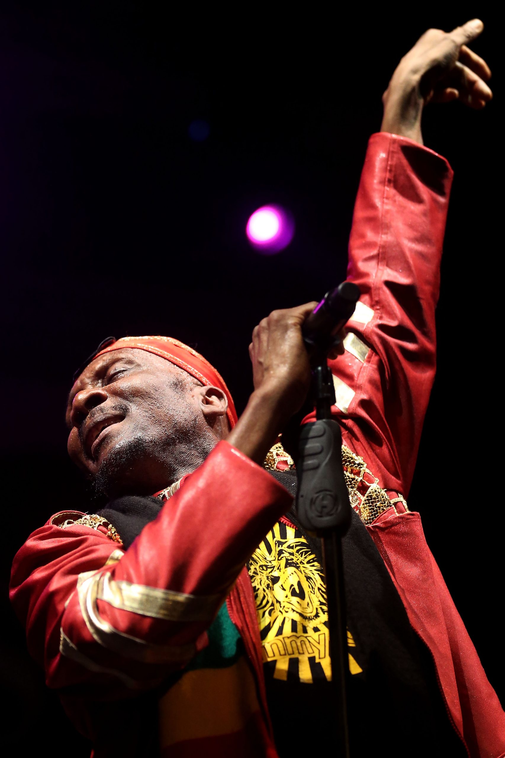 Jimmy Cliff photo