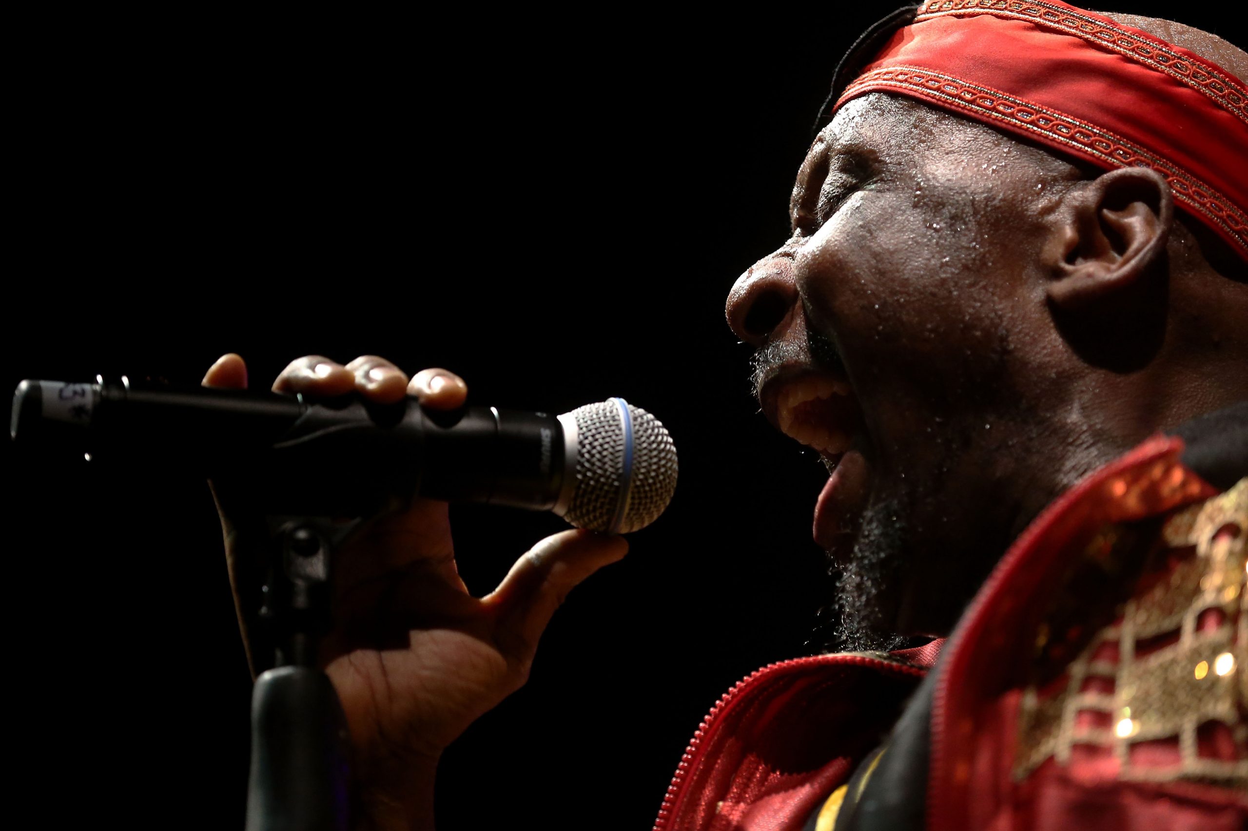 Jimmy Cliff photo 2