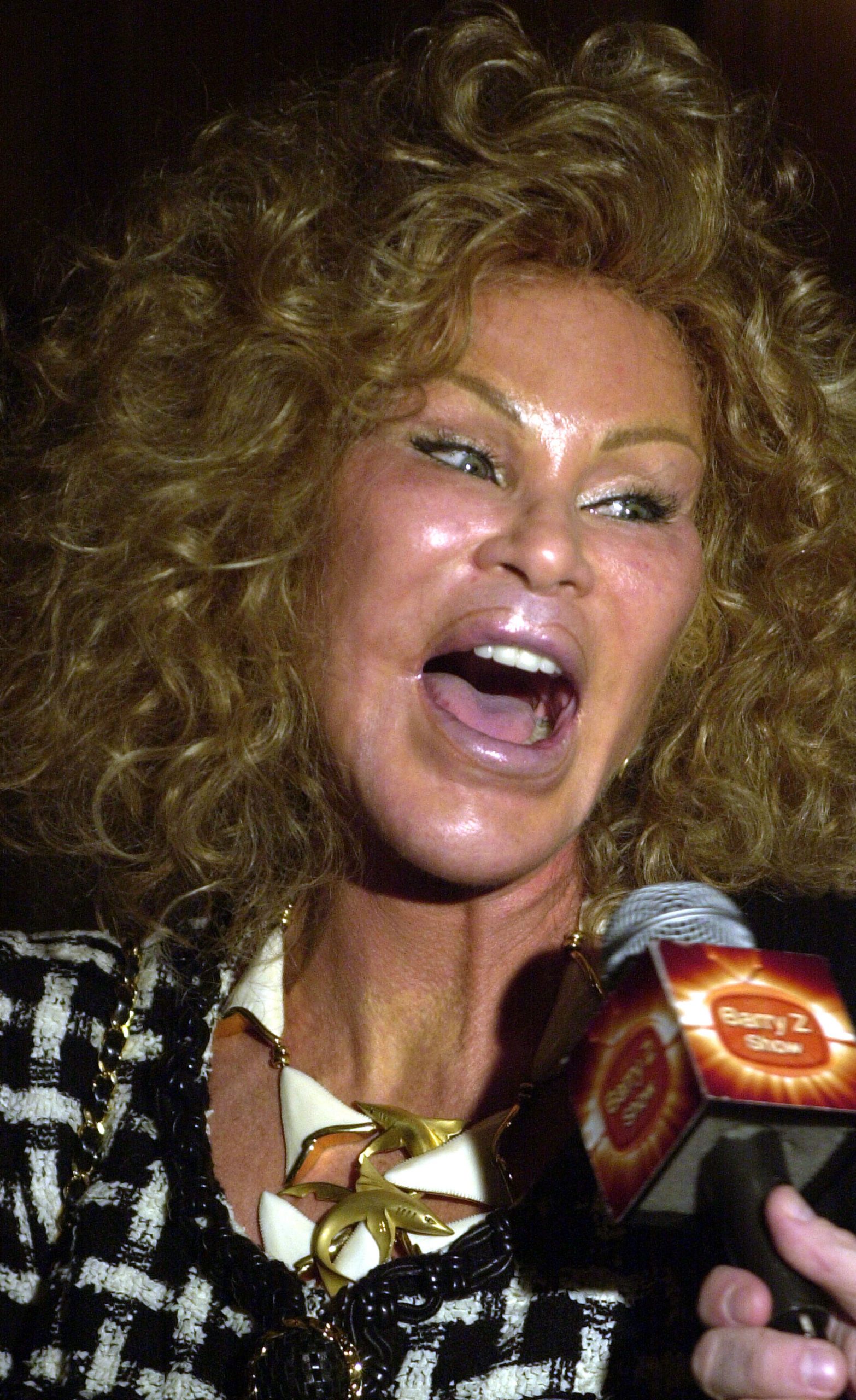 Jocelyn Wildenstein photo