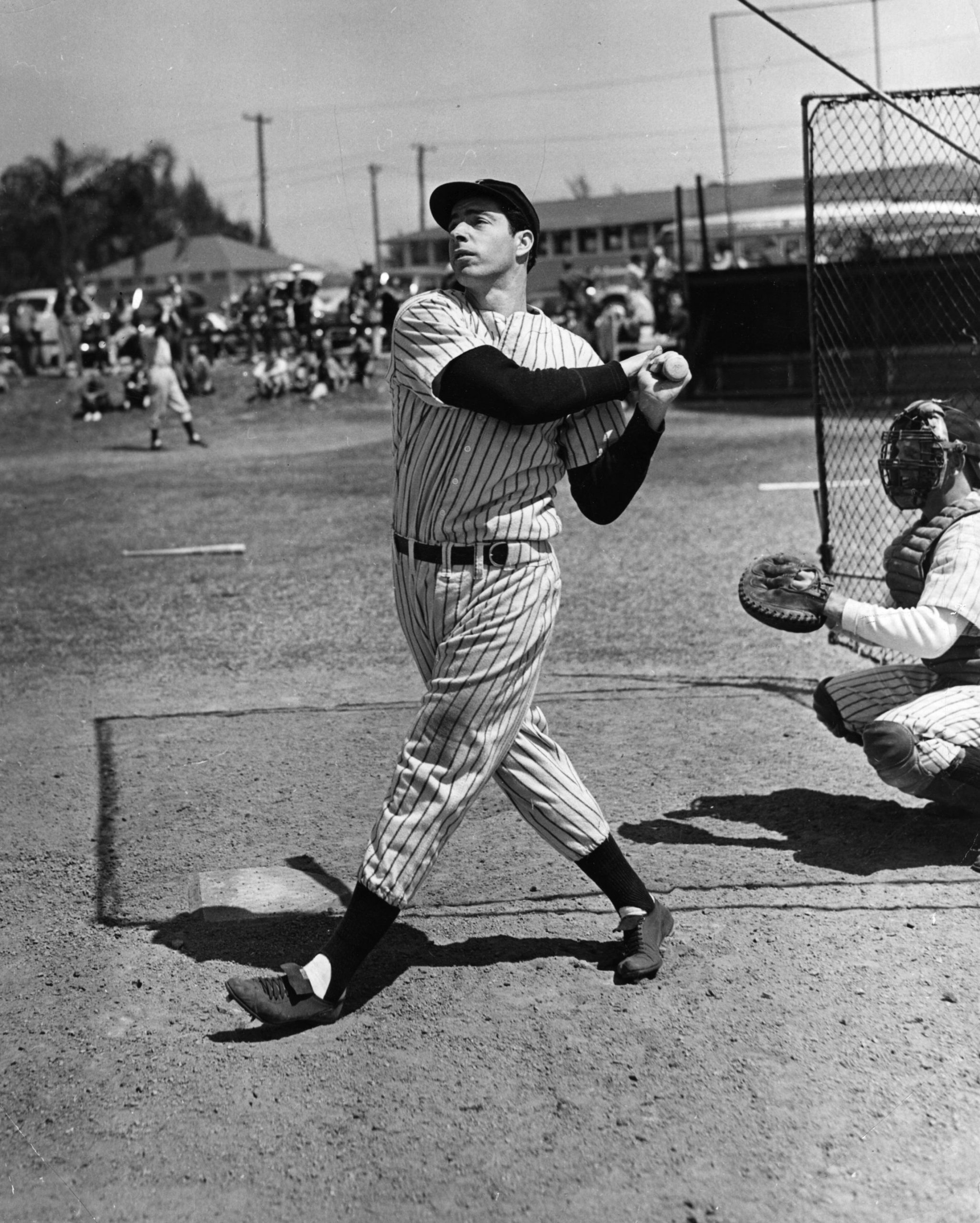 Joe DiMaggio photo 2