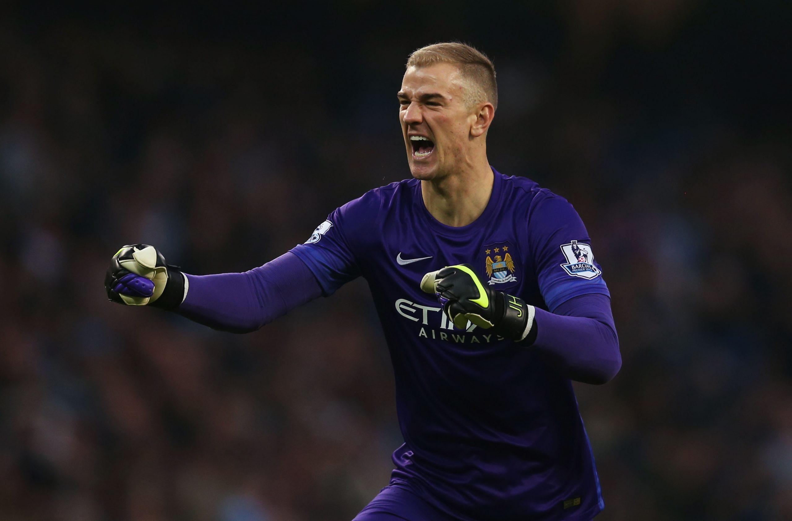 Joe Hart photo