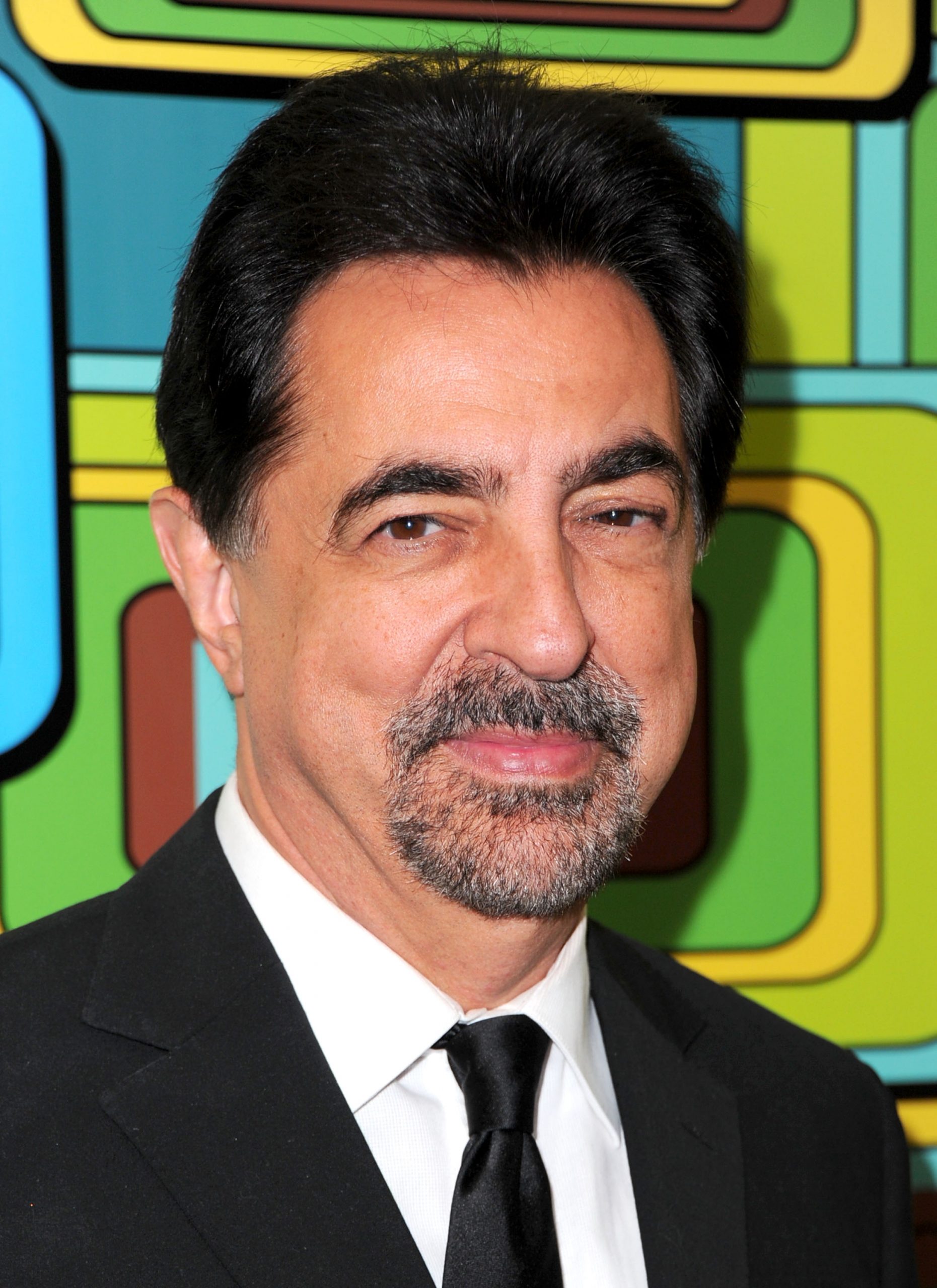 Joe Mantegna photo 3