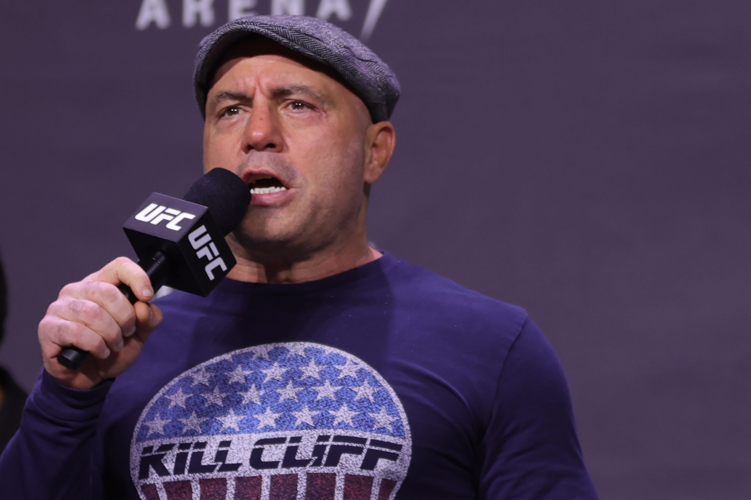 Joe Rogan photo 2