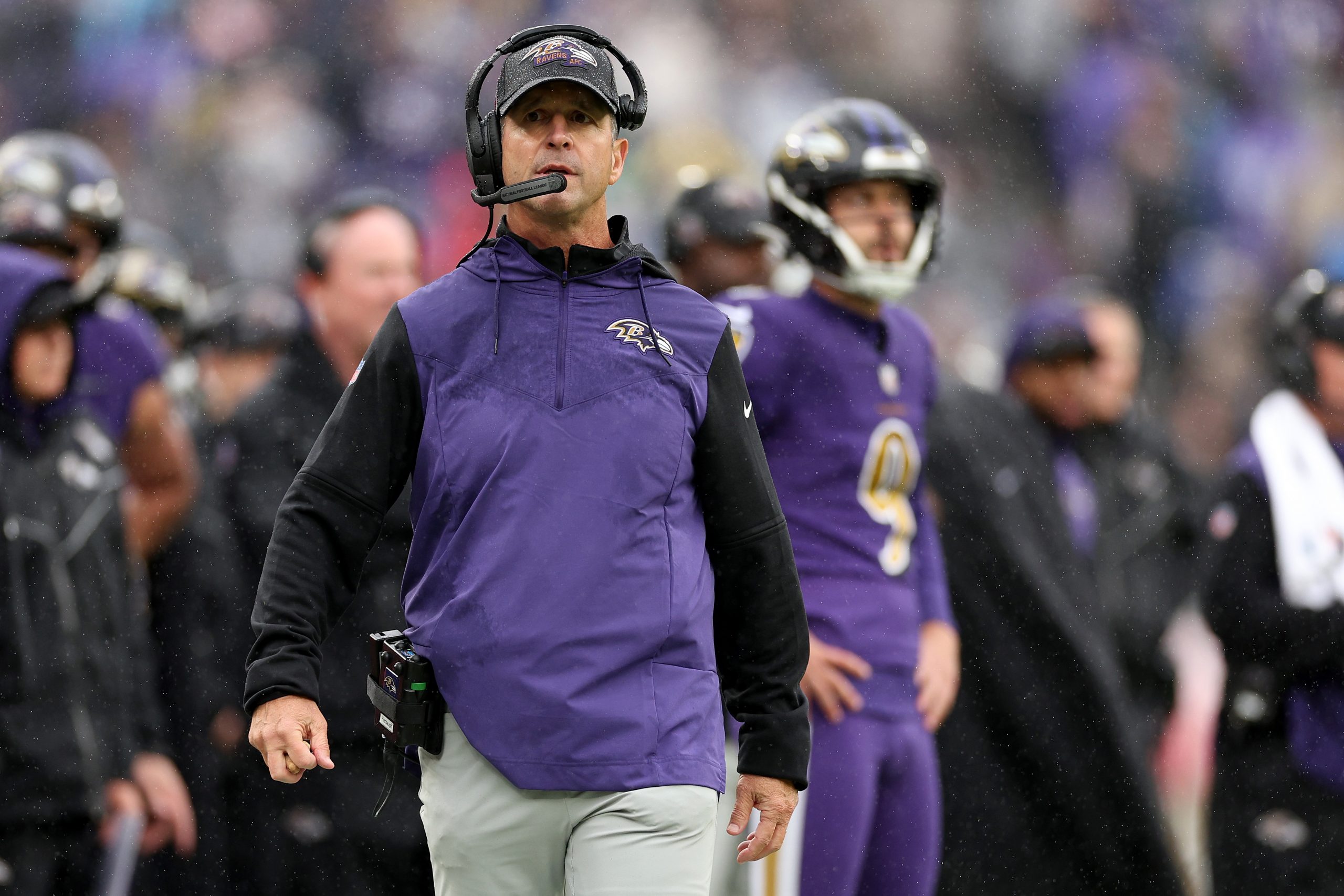 John Harbaugh photo