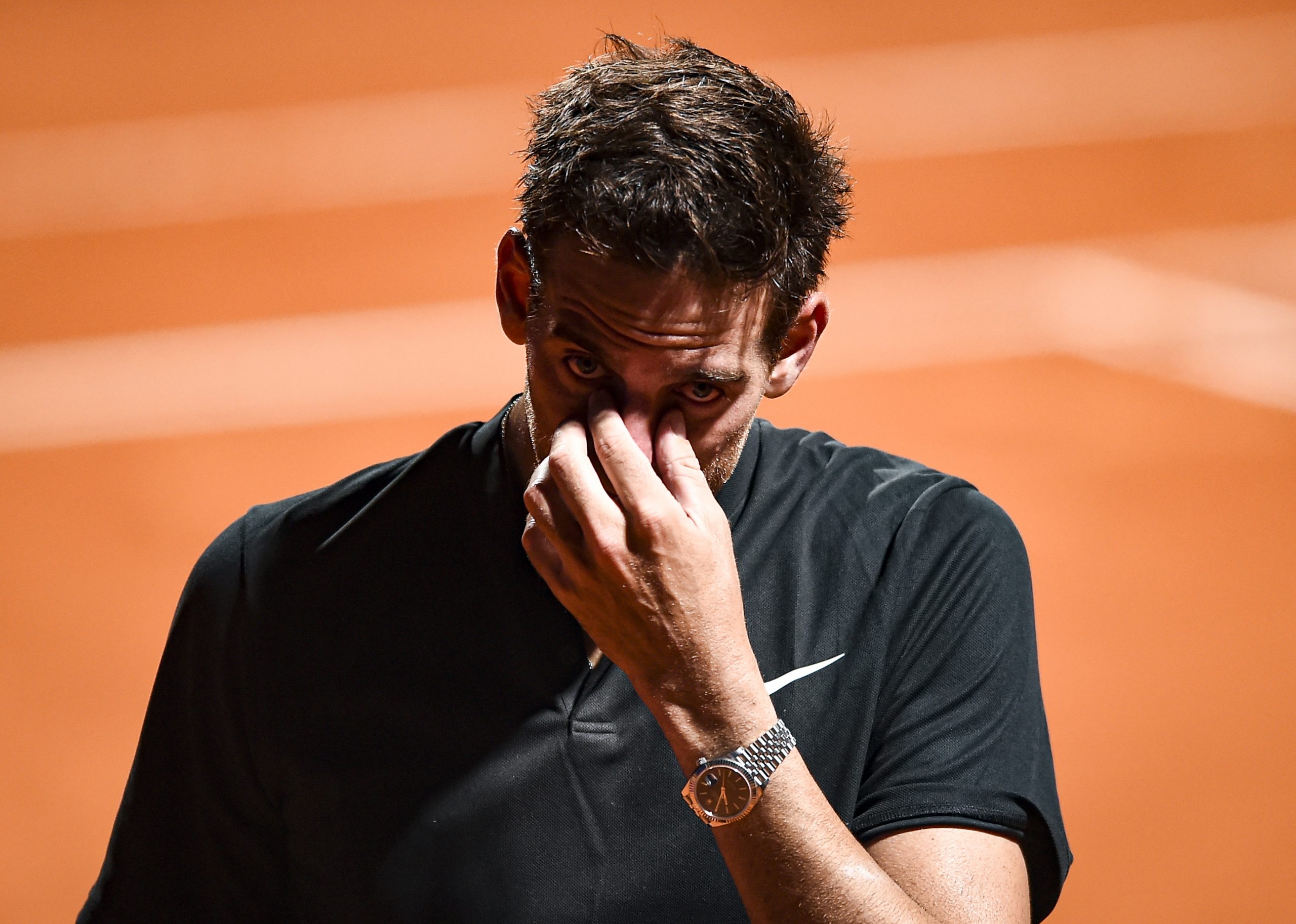 Juan Martin Del Potro photo