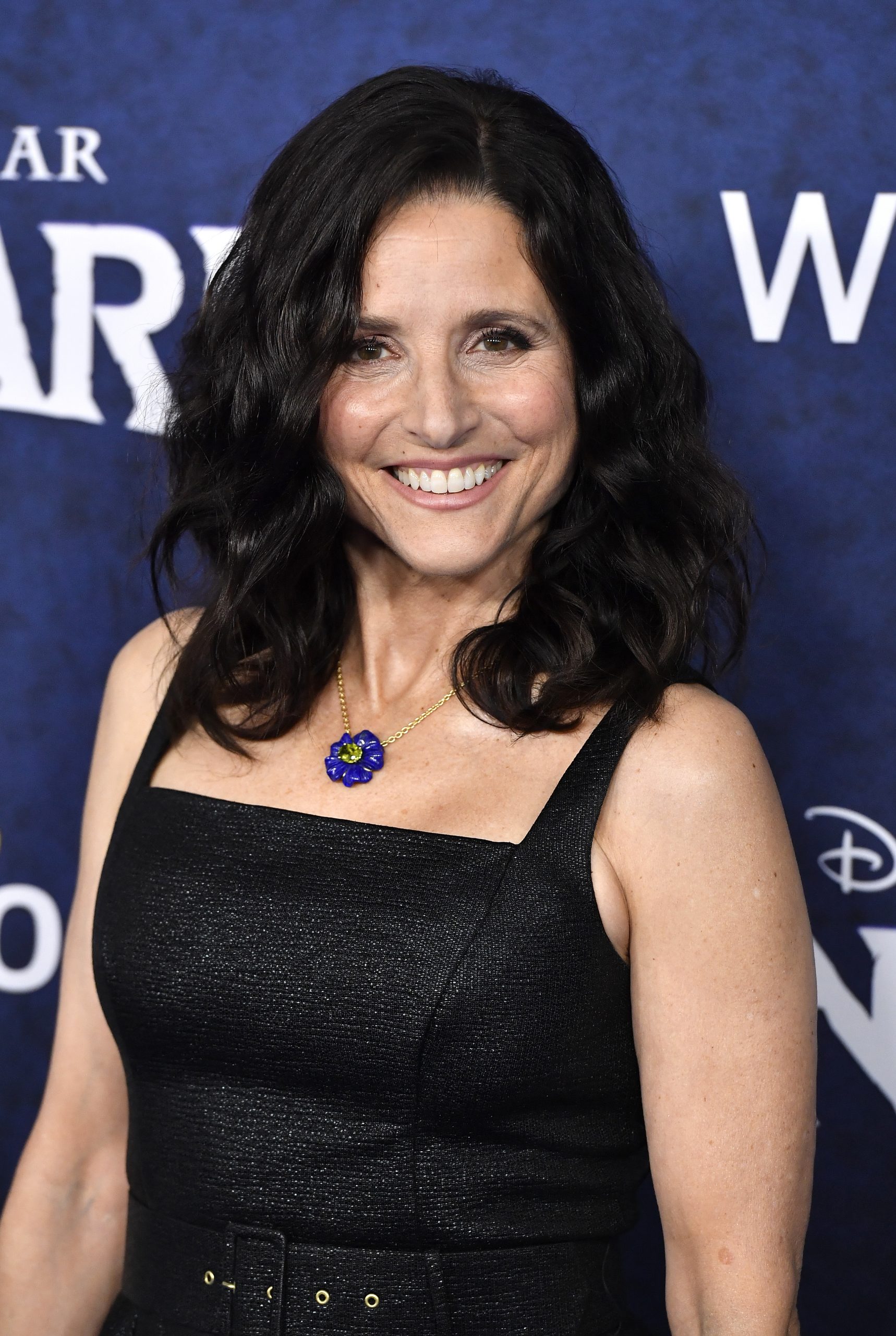 Julia Louis-Dreyfus photo