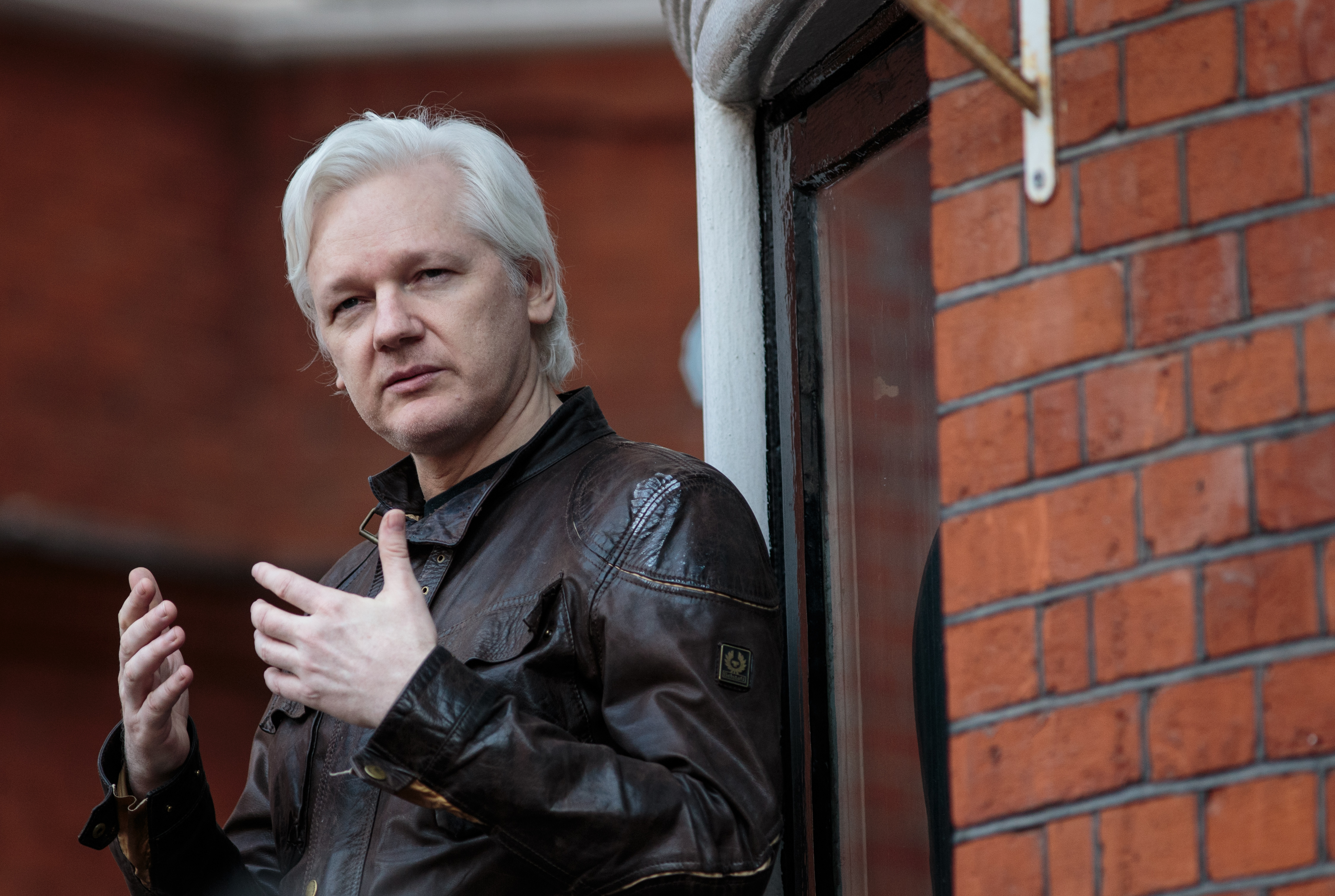 Julian Assange photo