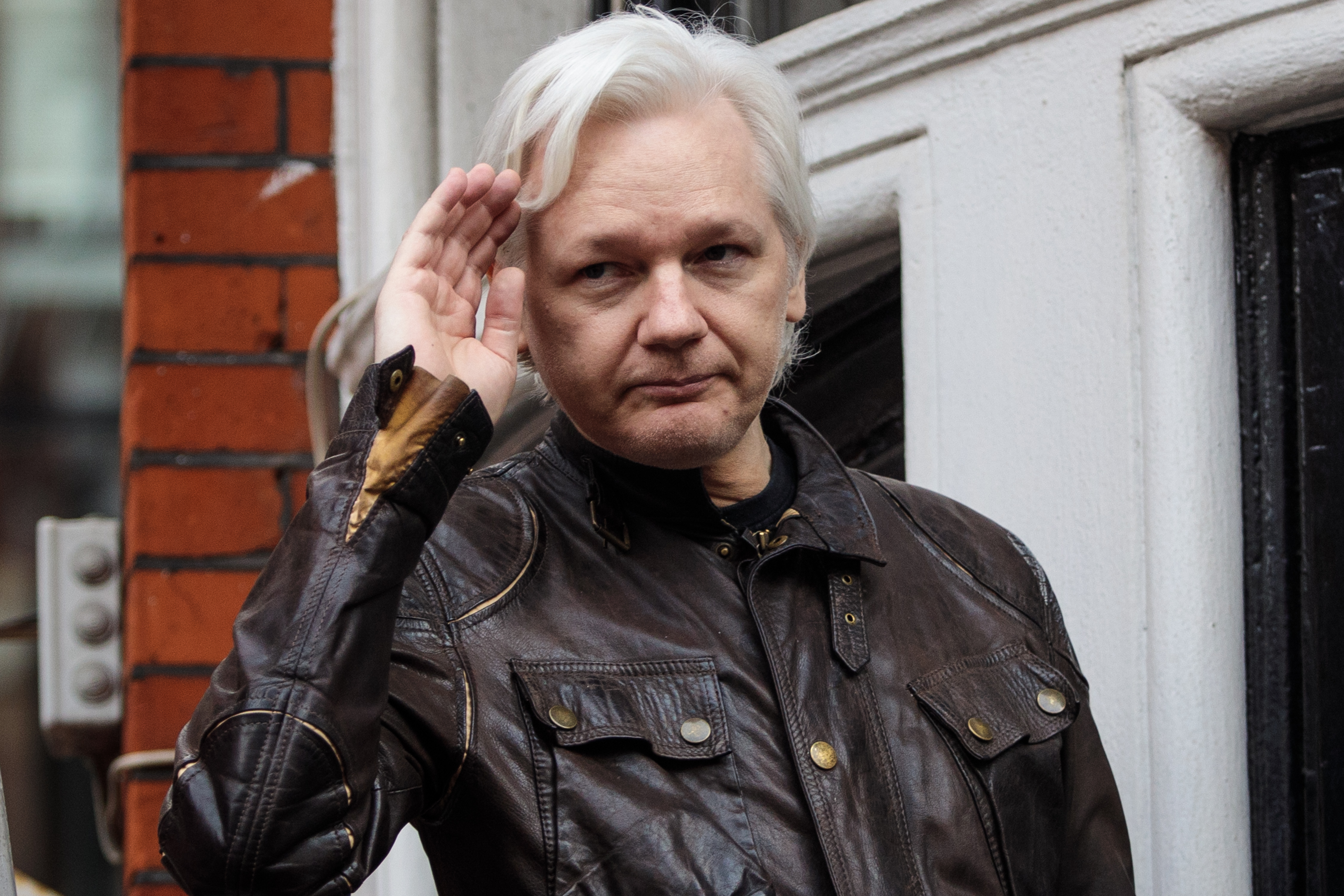 Julian Assange photo 3