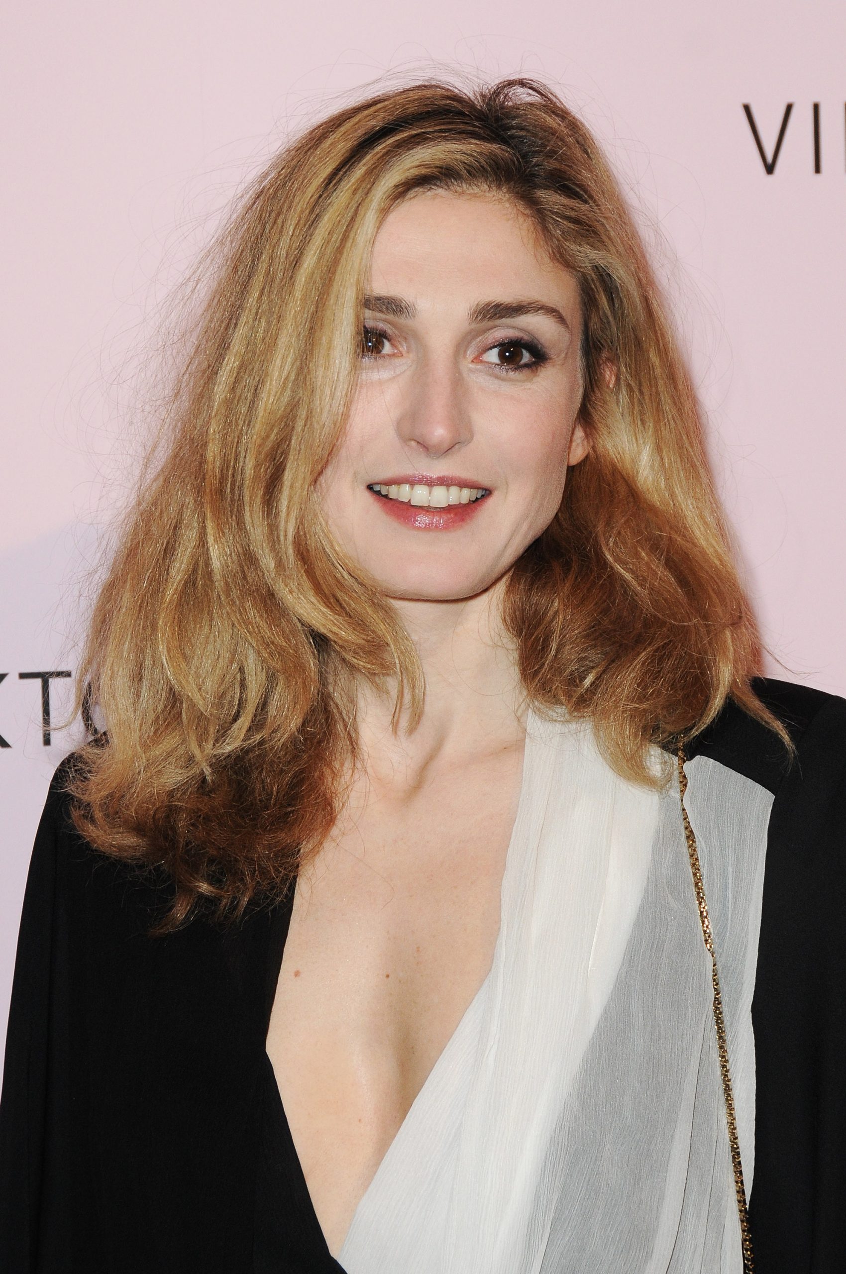 Julie Gayet photo