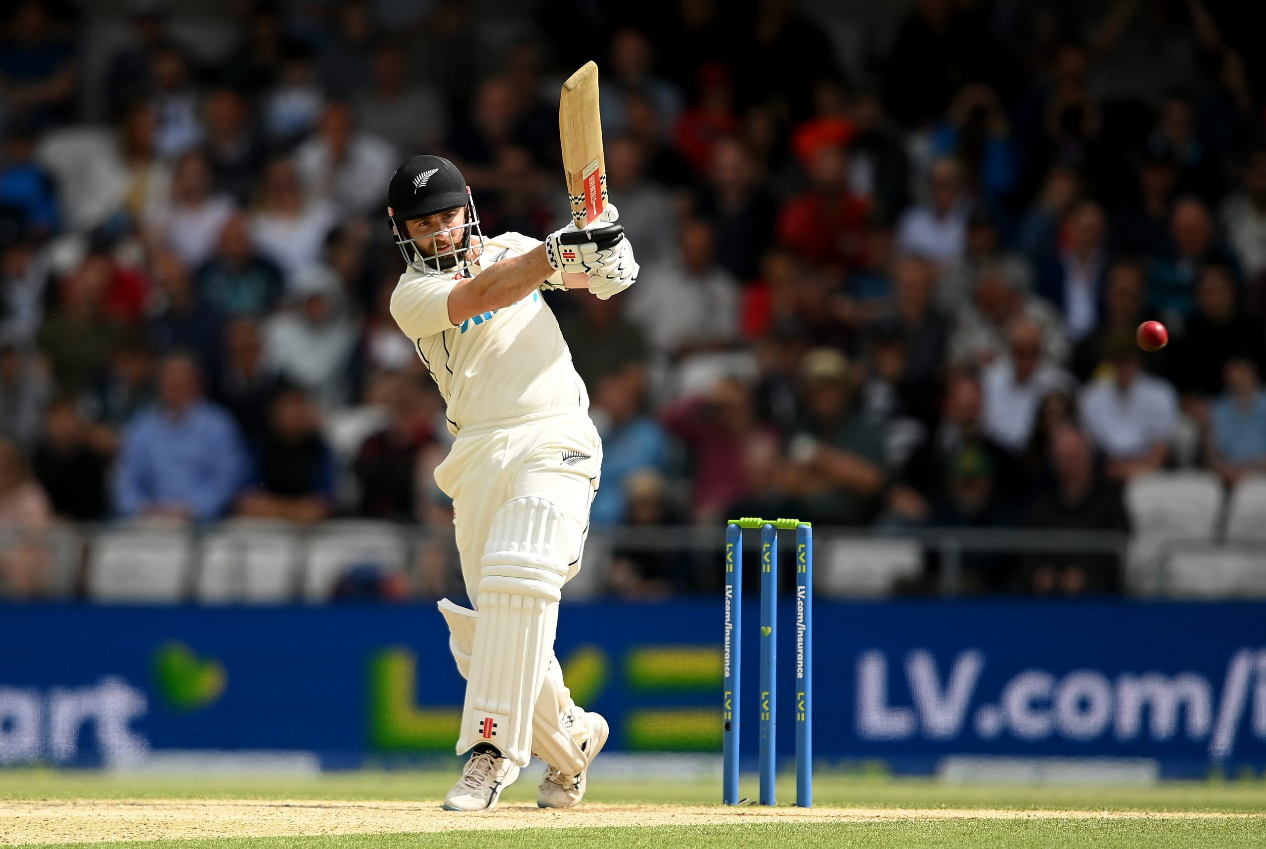 Kane Williamson photo 3