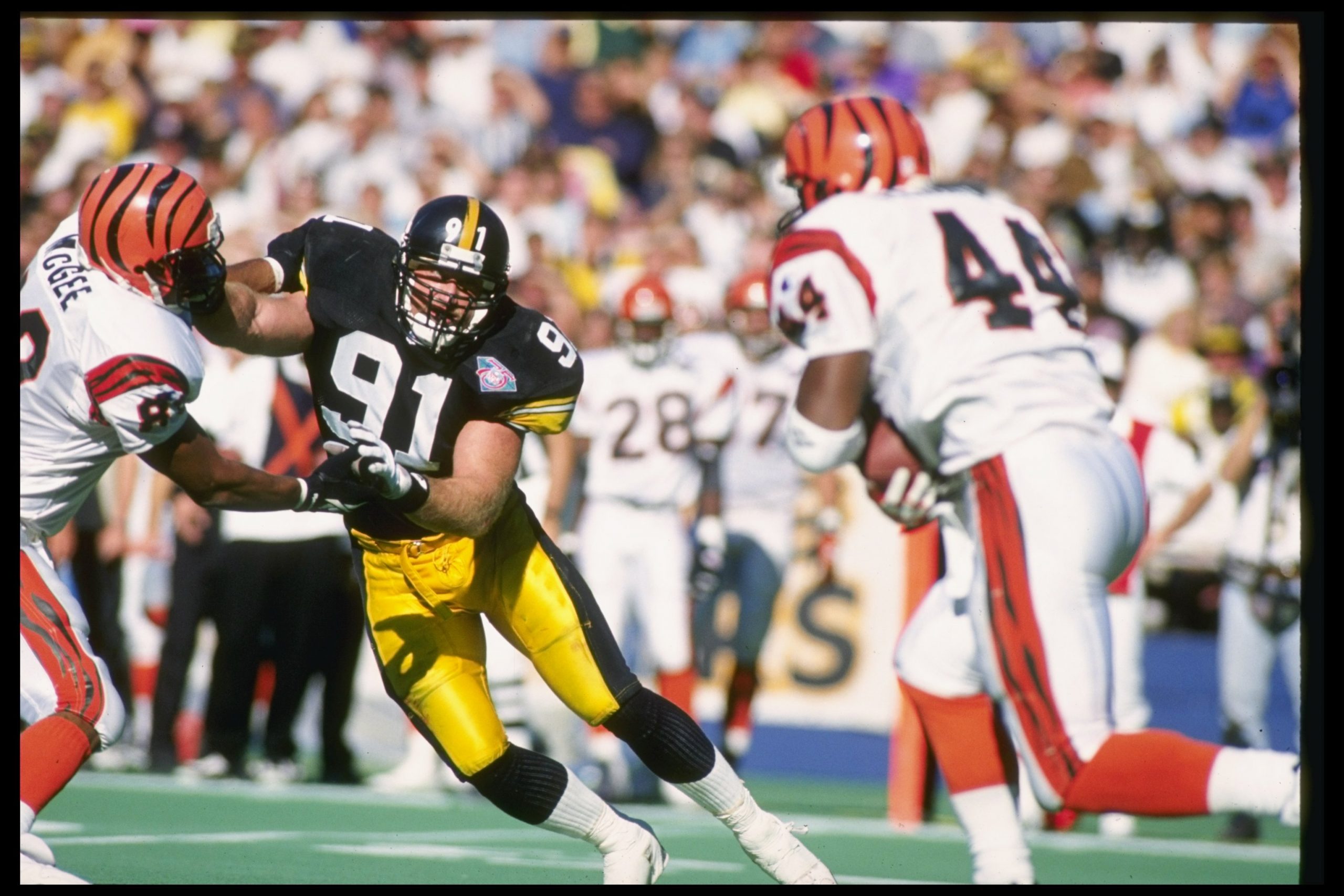 Kevin Greene photo 2