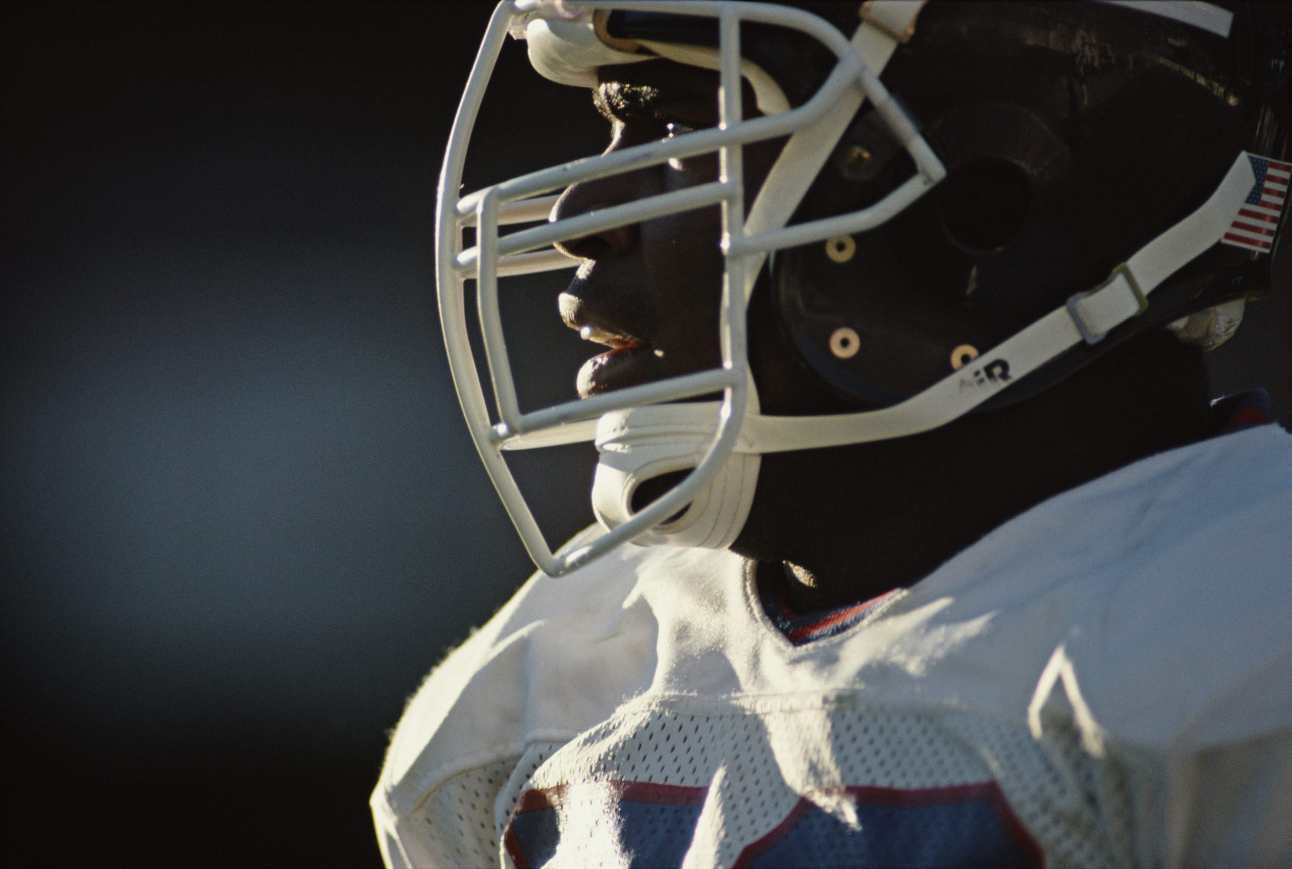 Lawrence Taylor photo