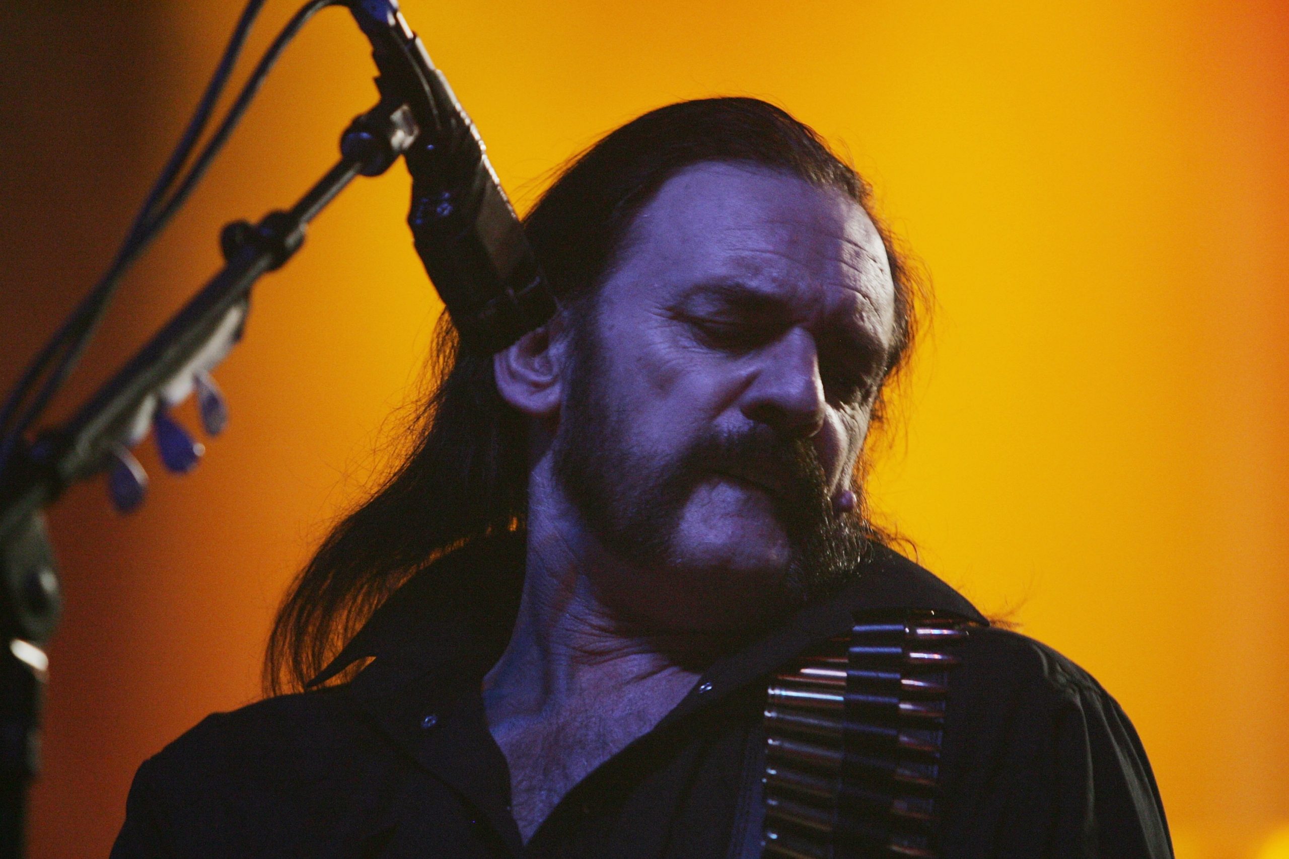 Lemmy photo 2