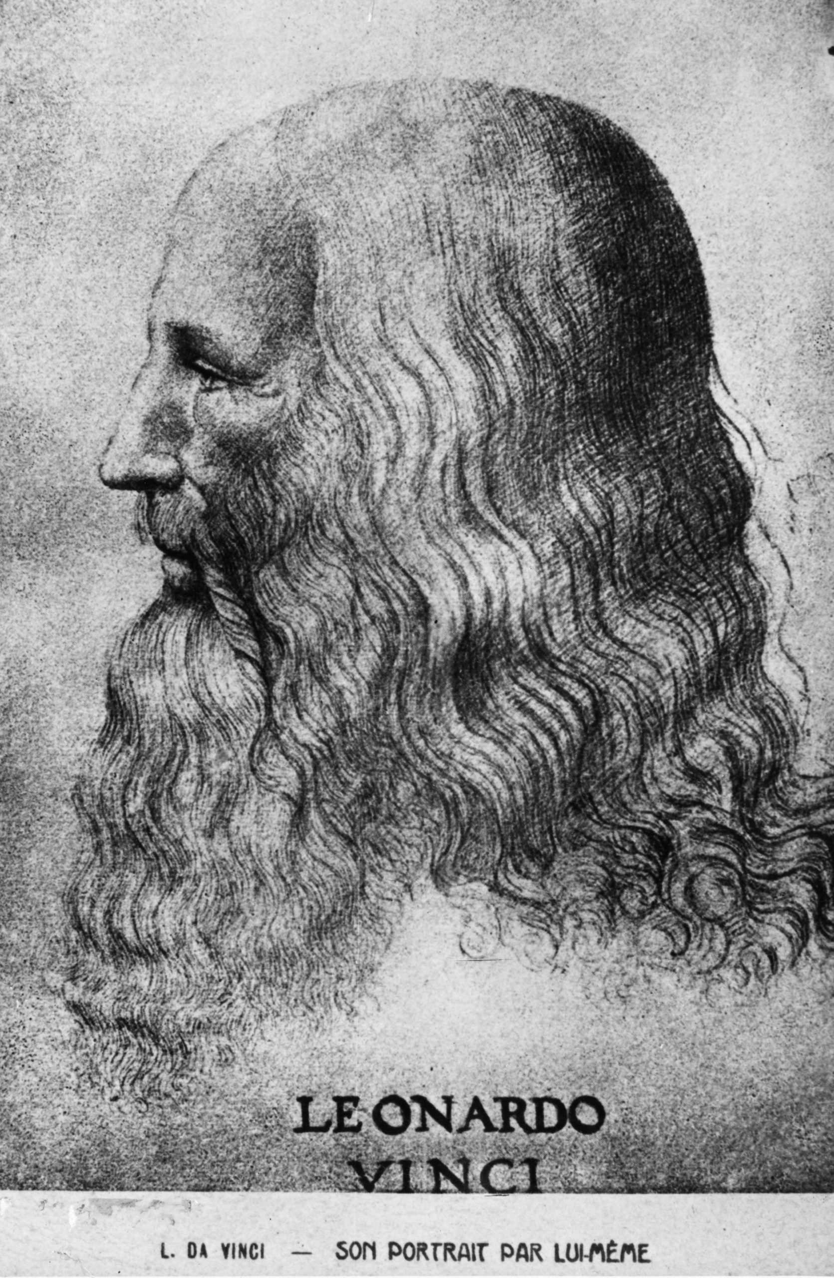 Leonardo da Vinci photo 2