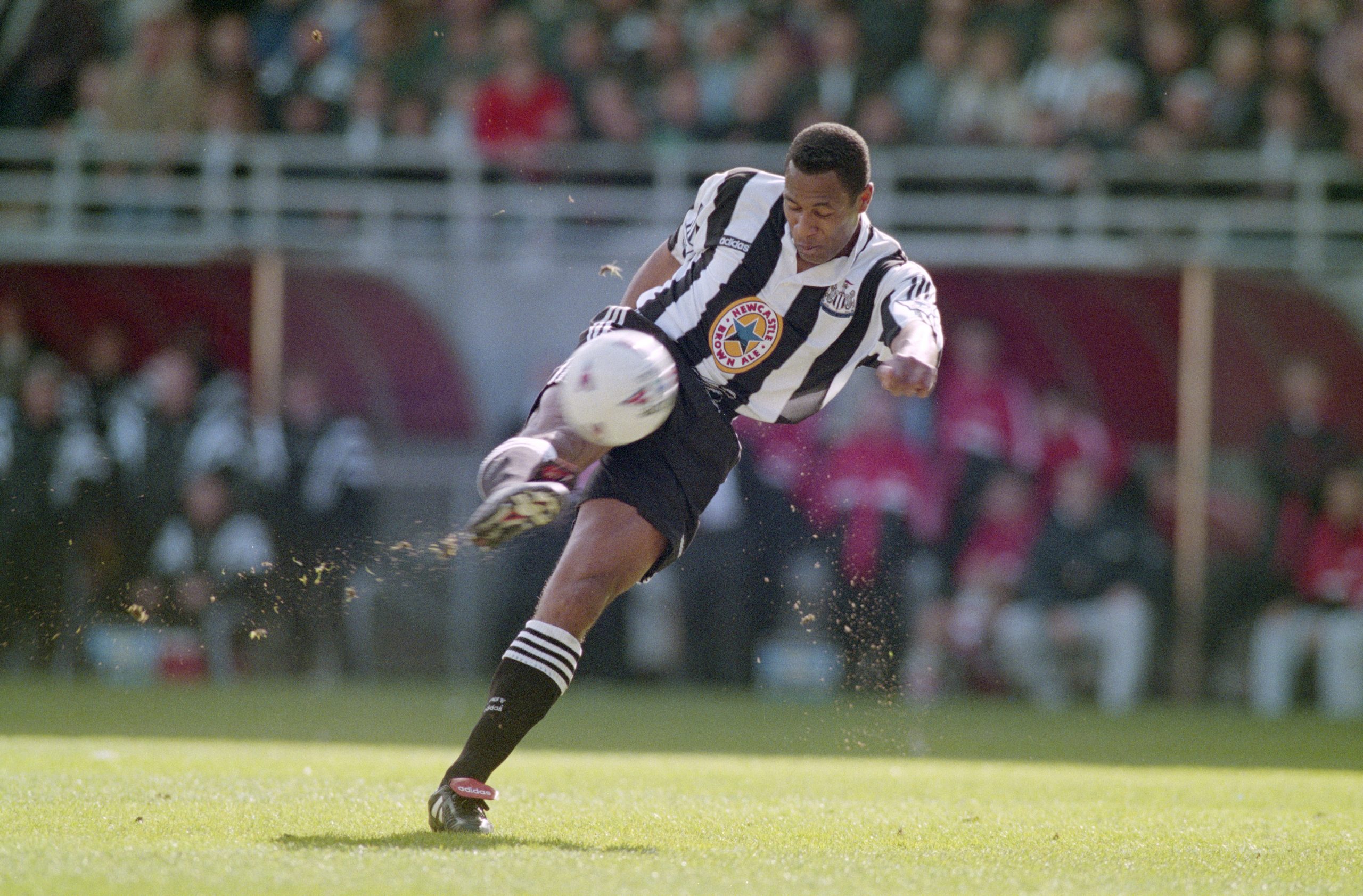 Les Ferdinand photo