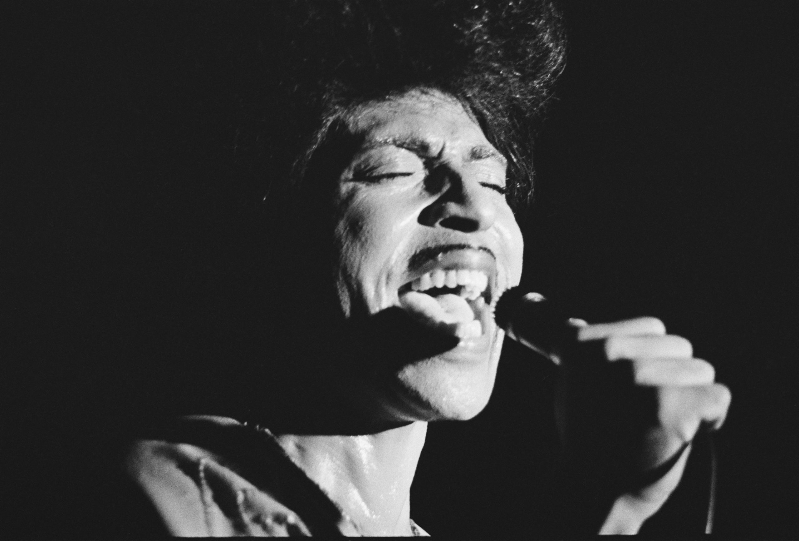 Little Richard photo 2