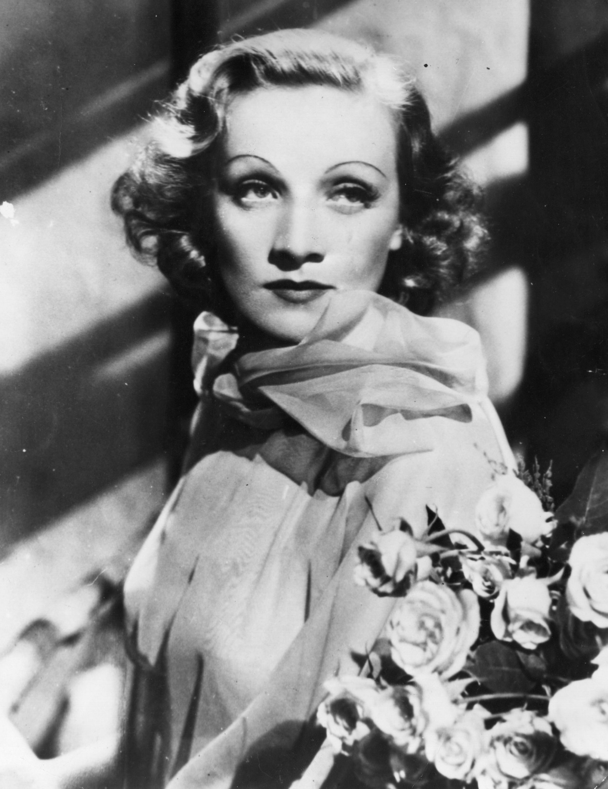 Marlene Dietrich photo