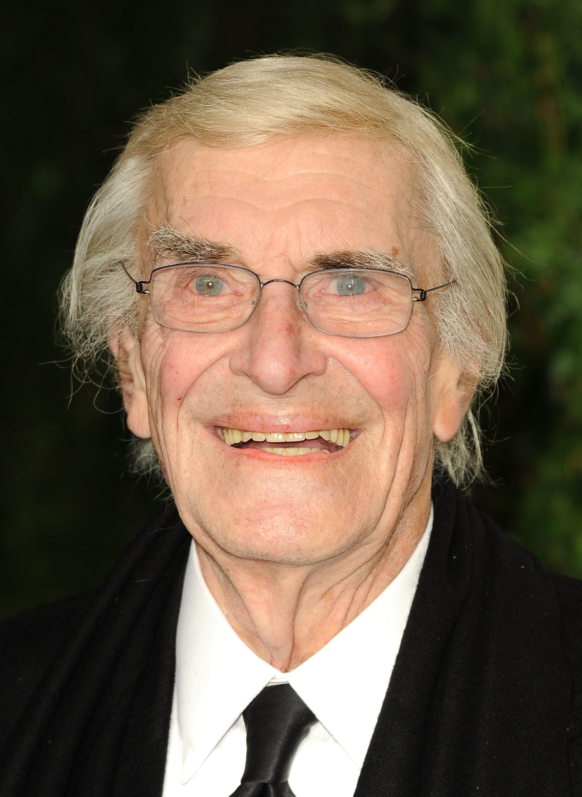 Martin Landau photo 2