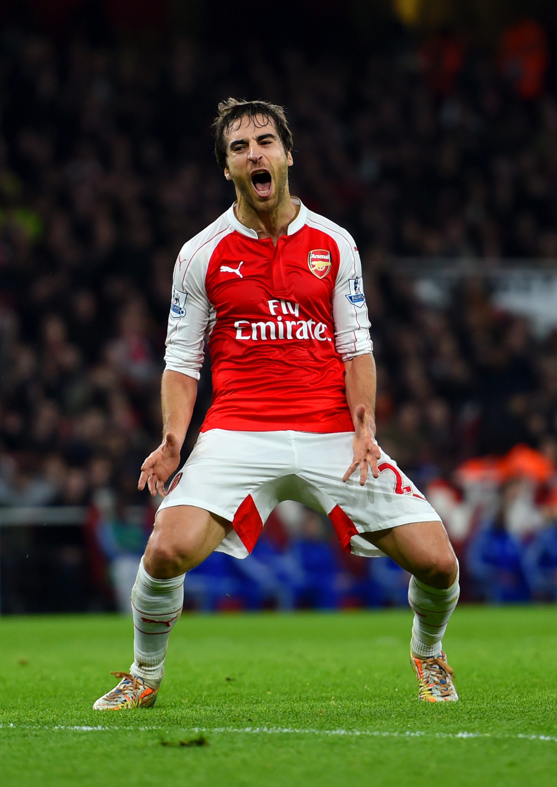 Mathieu Flamini photo 2