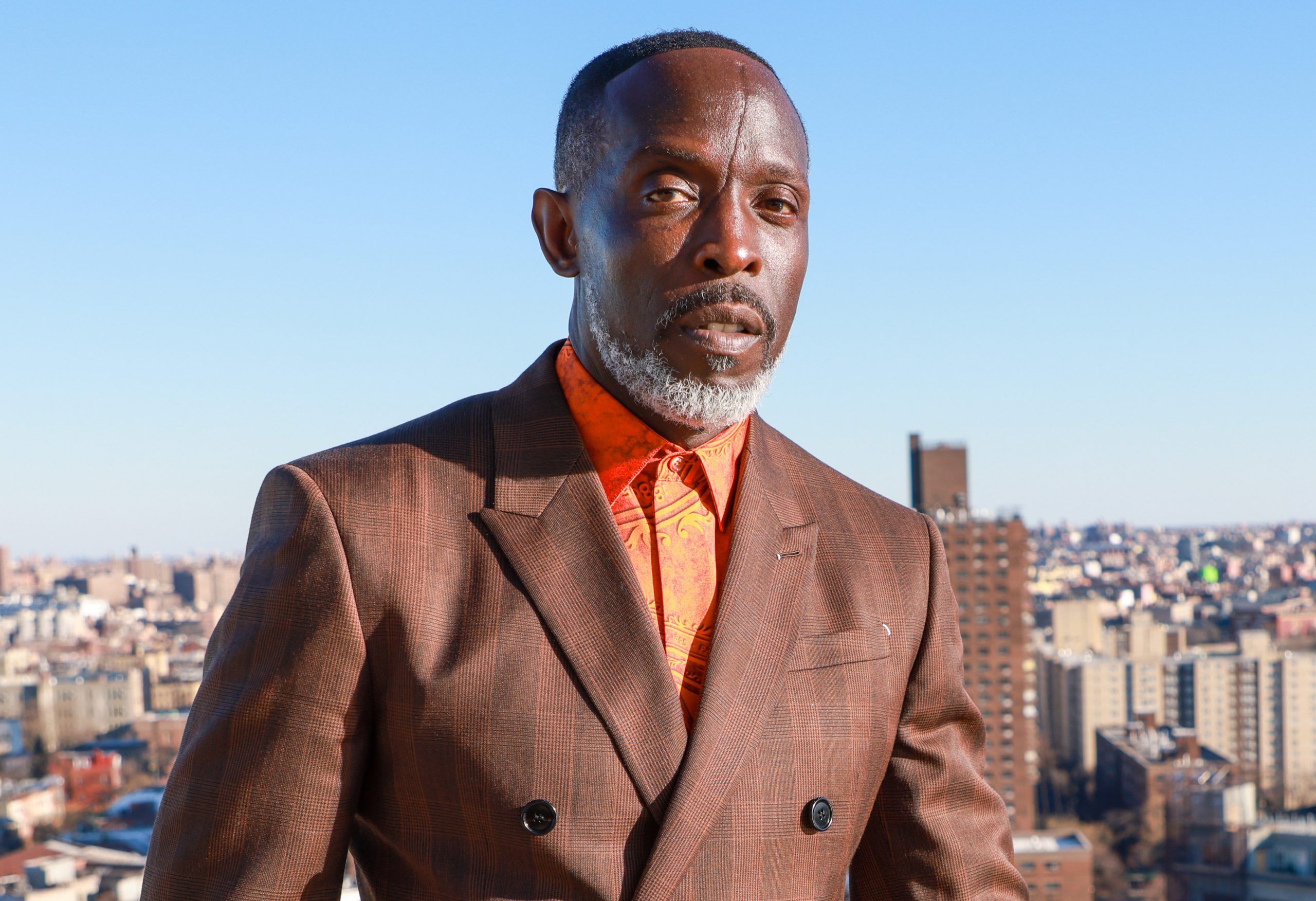 Michael K Williams photo