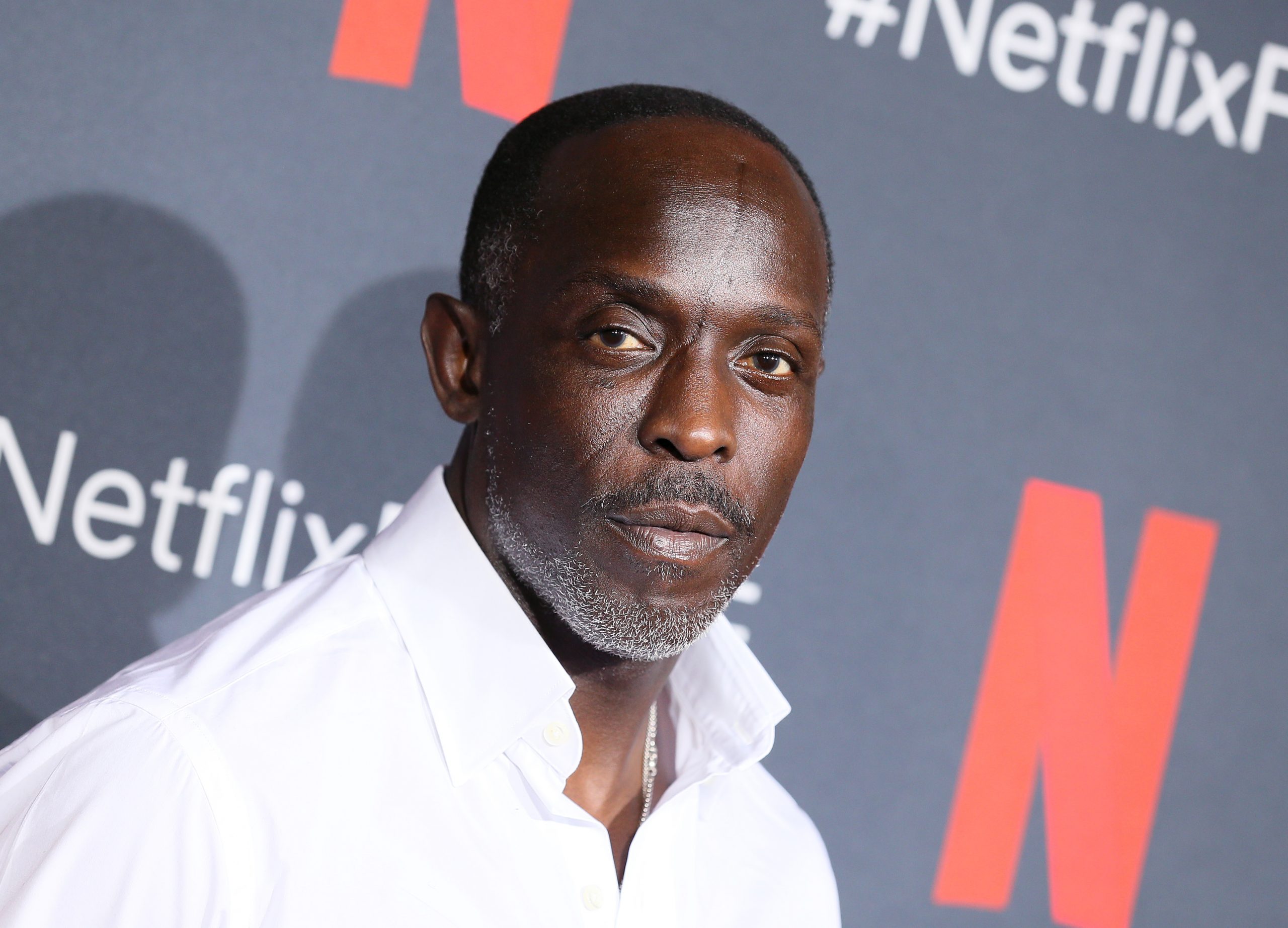 Michael K Williams photo 2