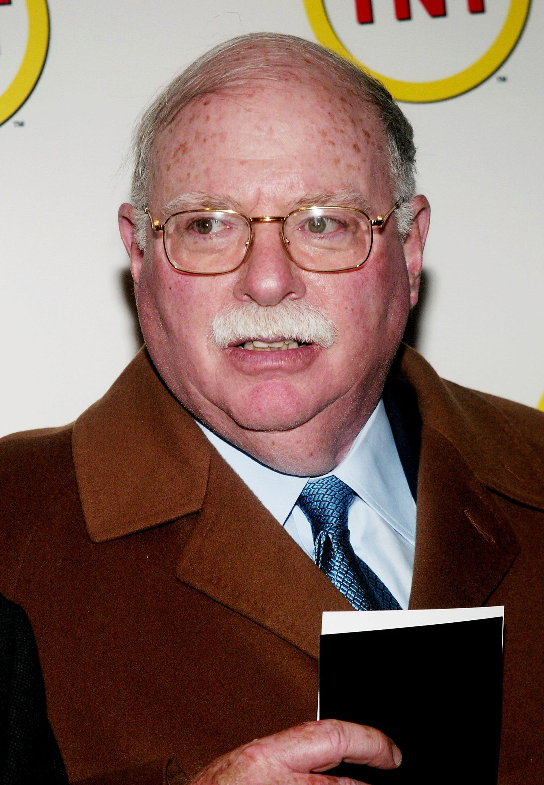 Michael Steinhardt photo