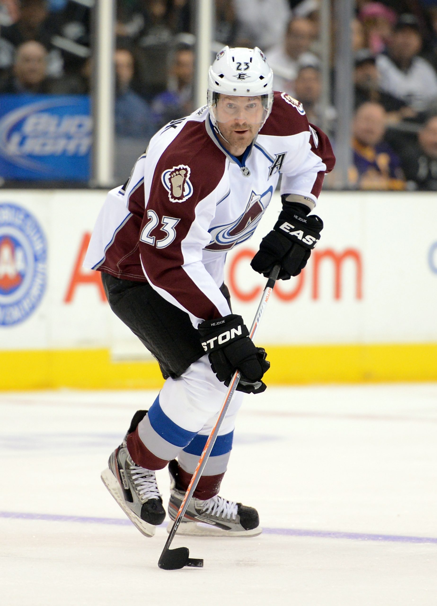 Milan Hejduk photo 3