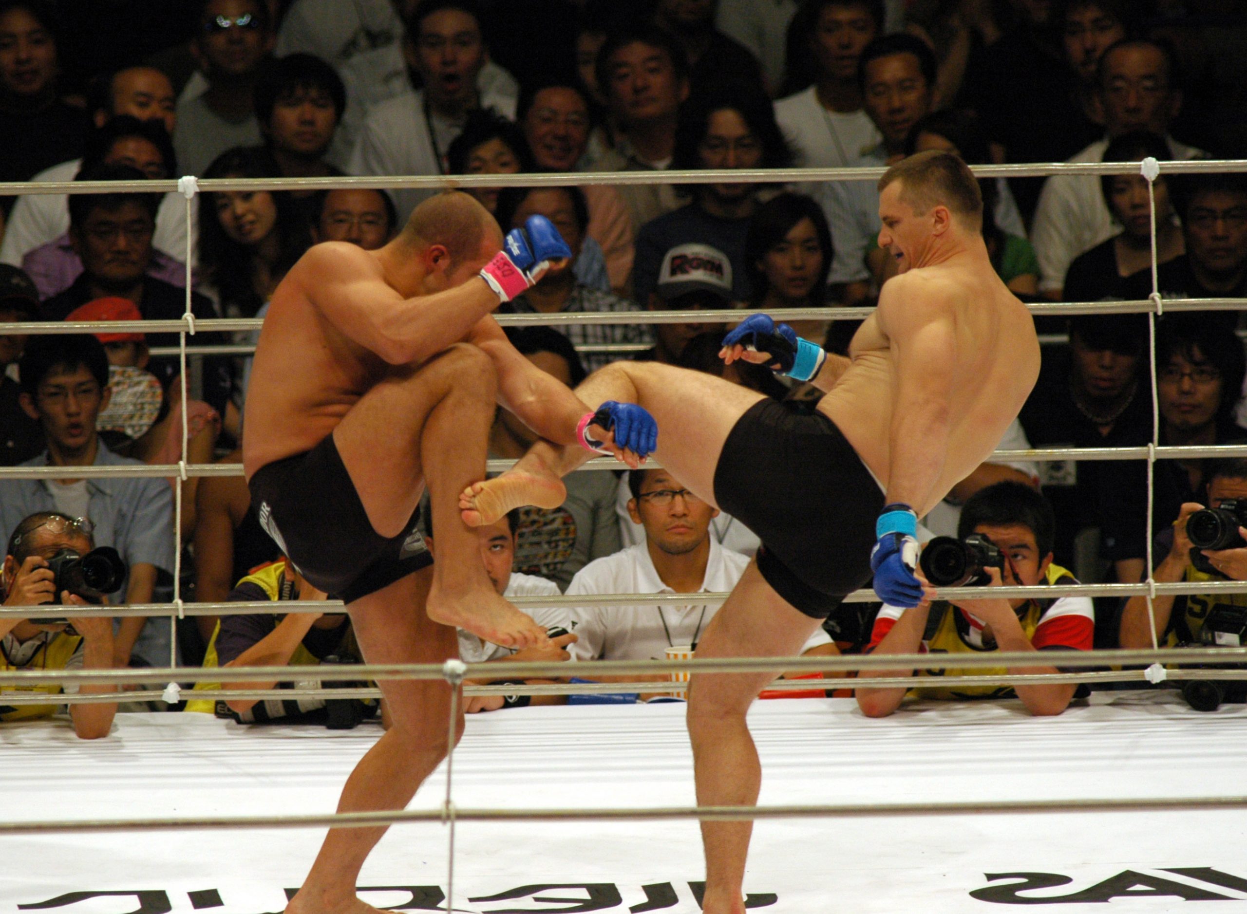 Mirko Cro Cop photo 3