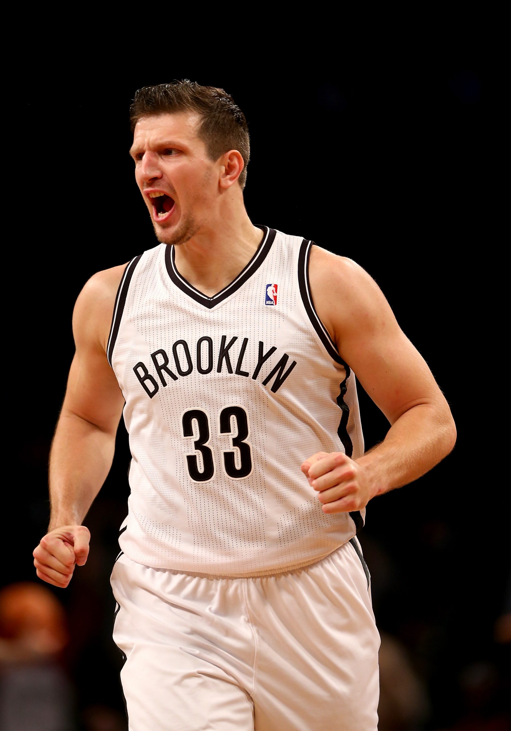 Mirza Teletovic photo