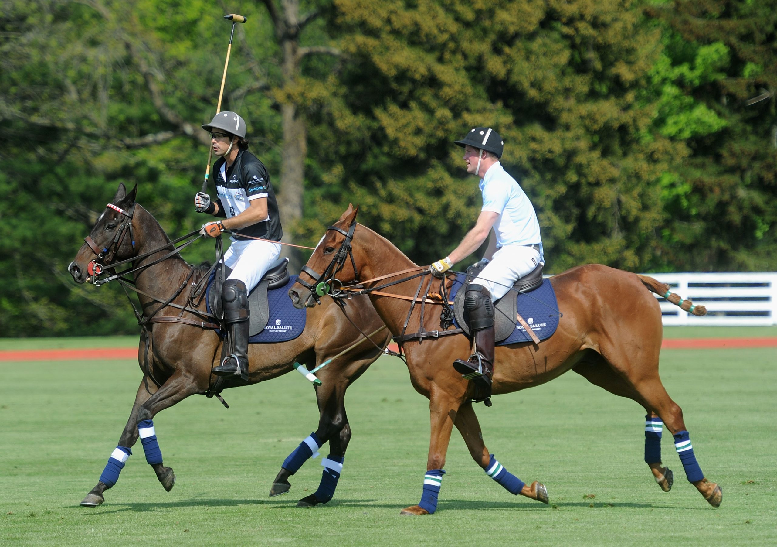 Nacho Figueras photo 3