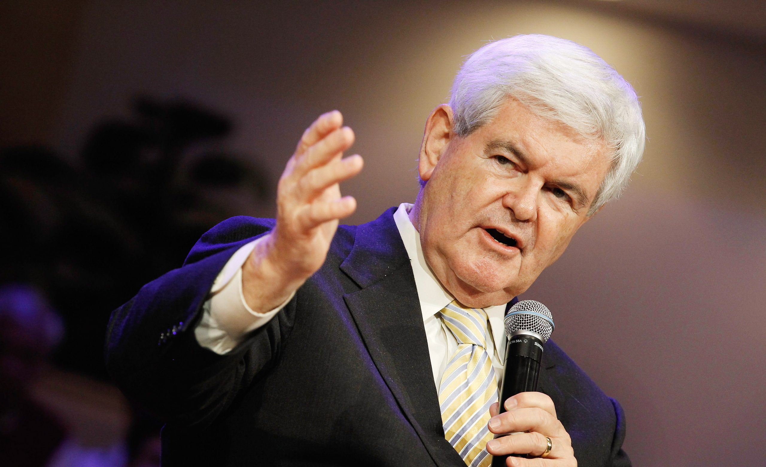 Newt Gingrich photo