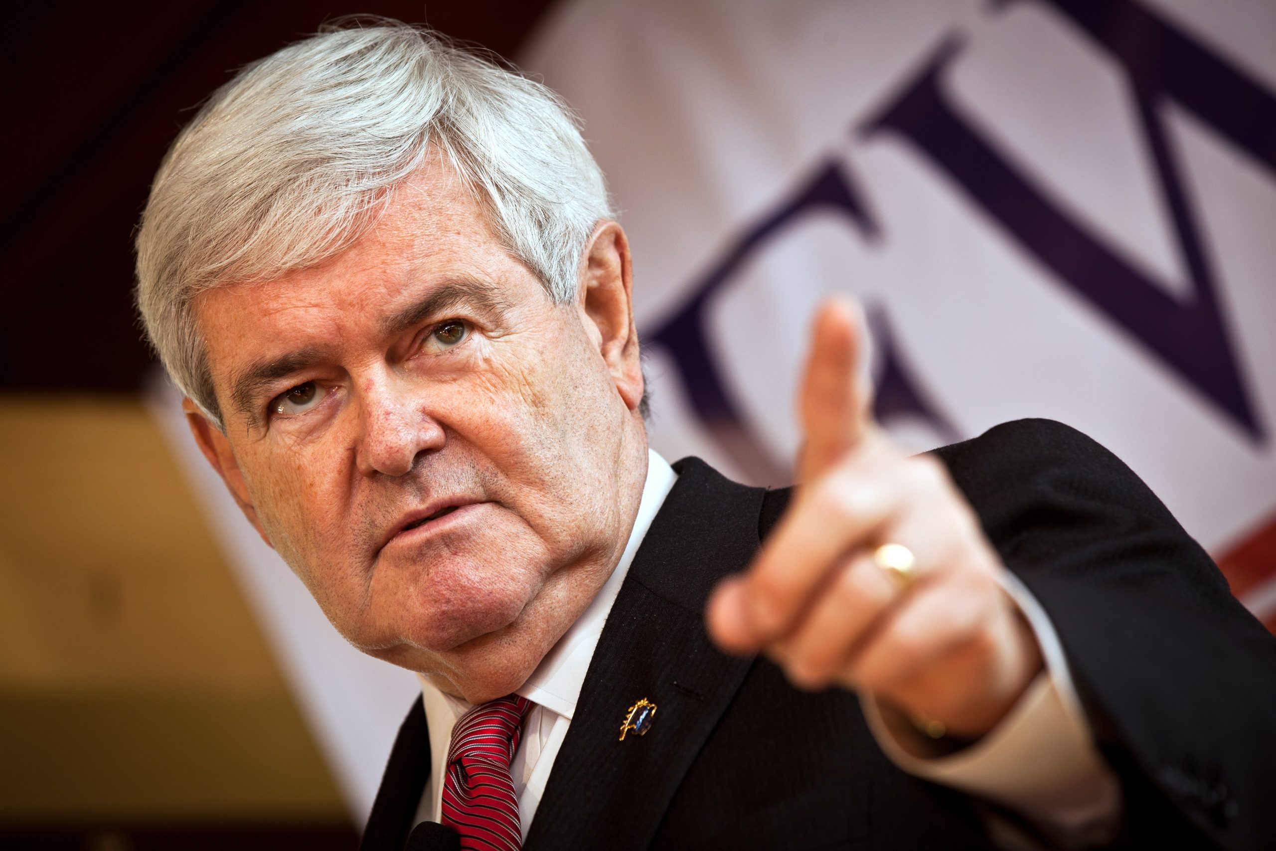 Newt Gingrich photo 2