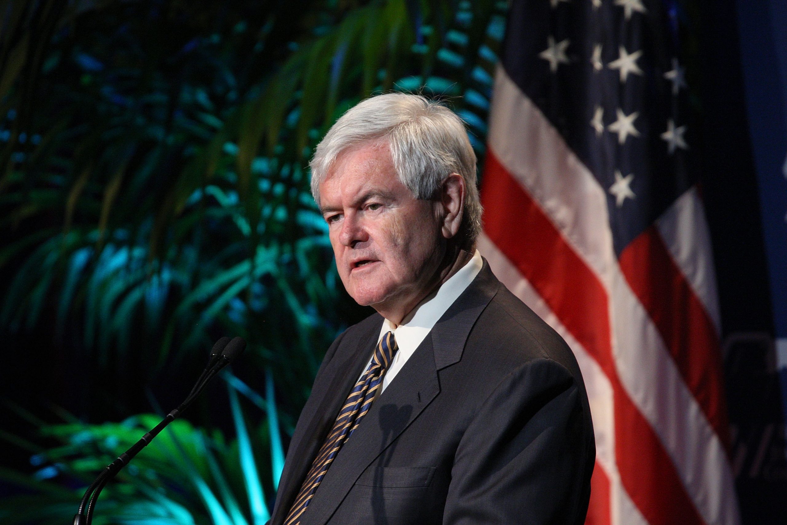 Newt Gingrich photo 3