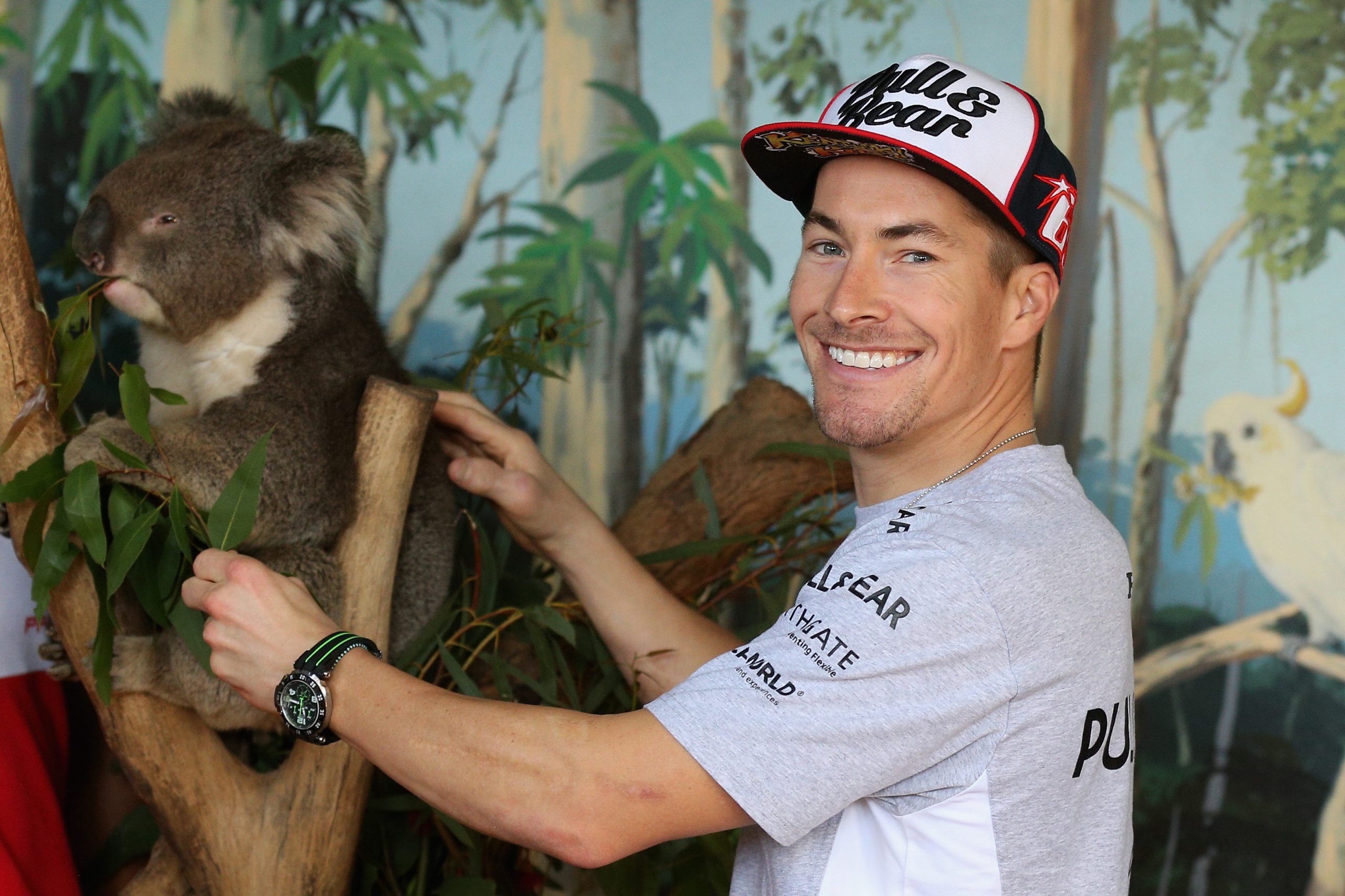 Nicky Hayden photo