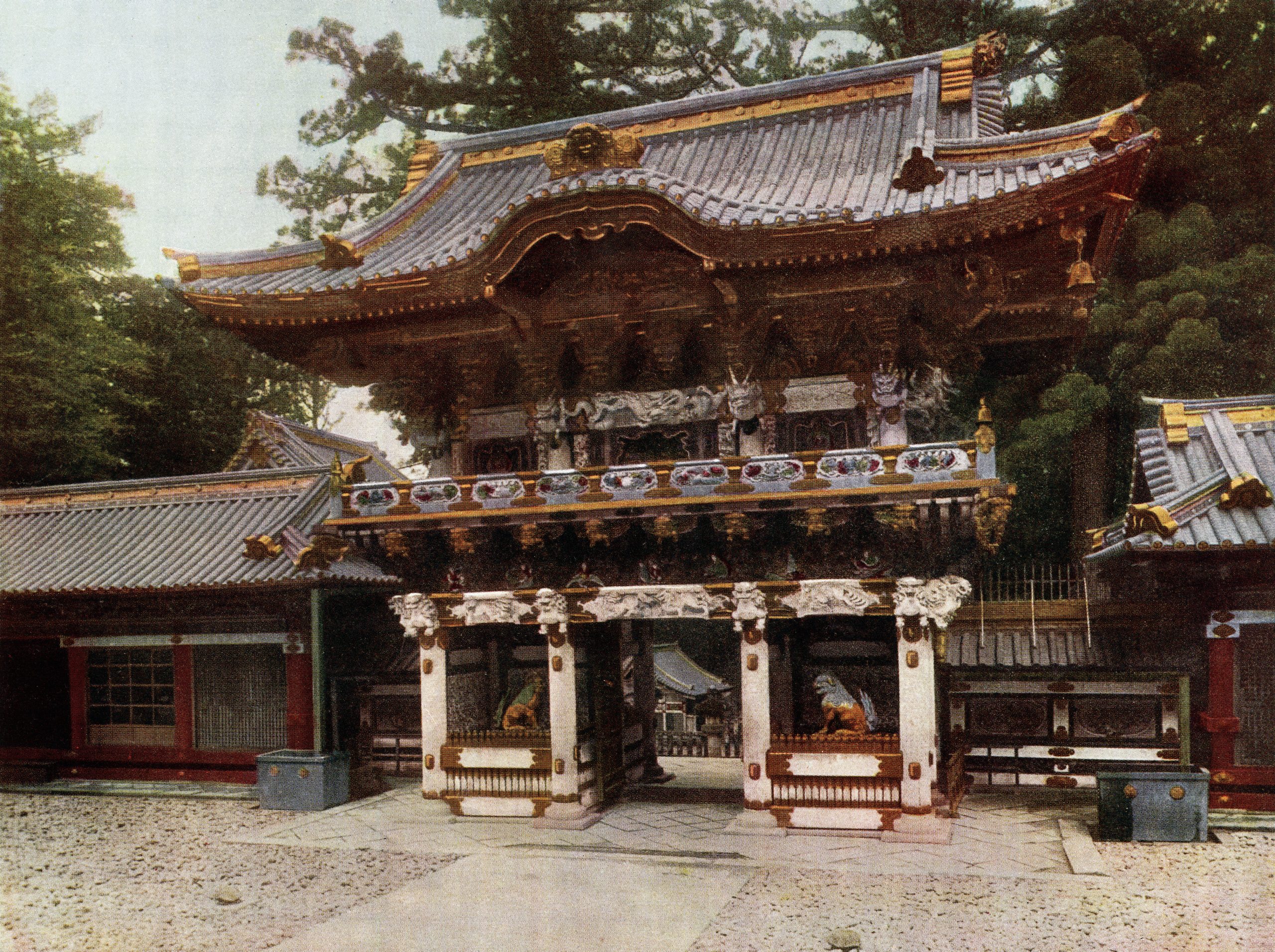 Nikko photo 3