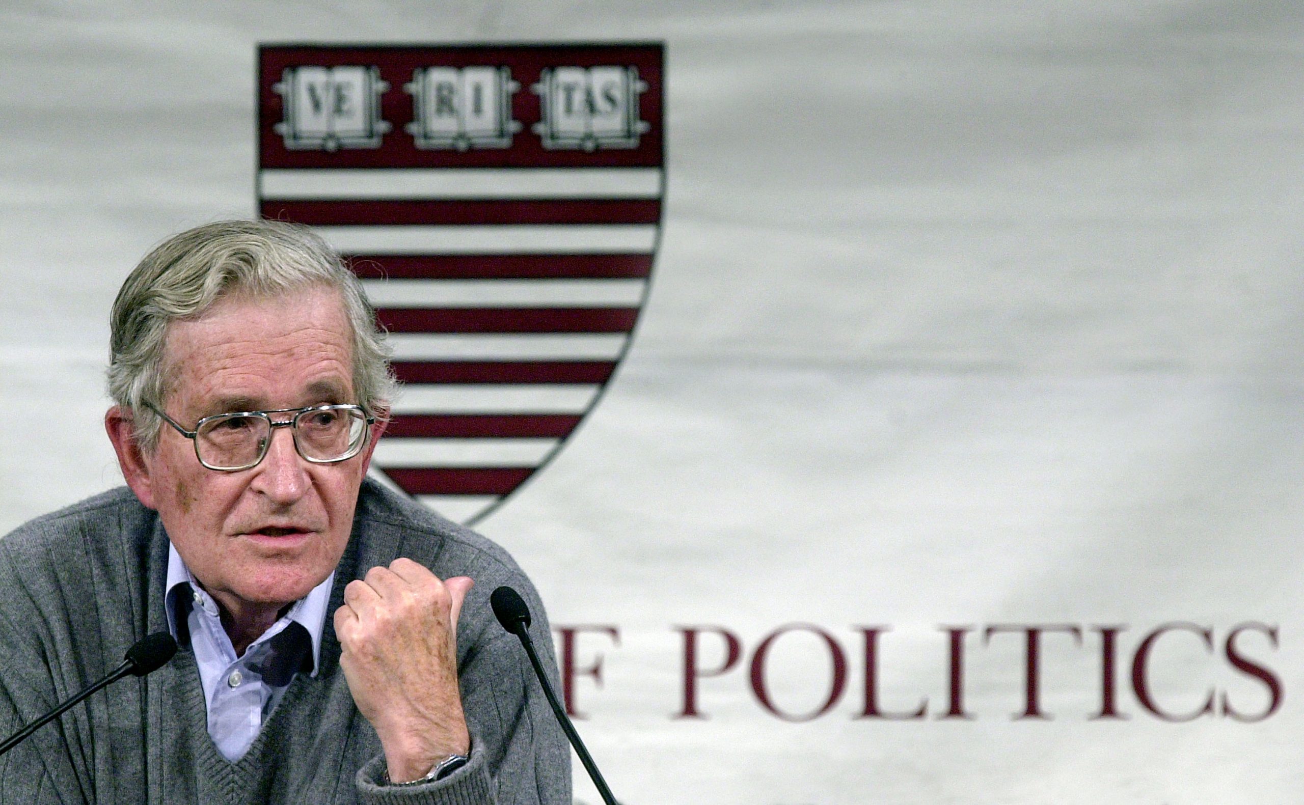 Noam Chomsky photo