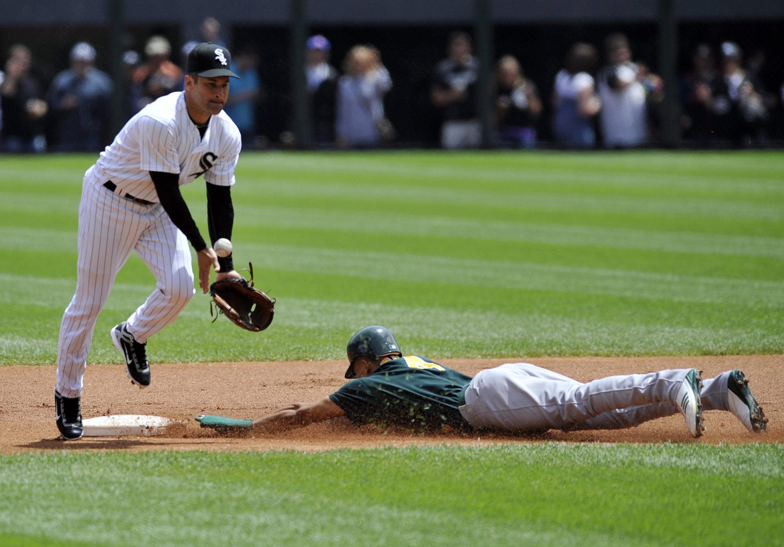 Omar Vizquel photo 2