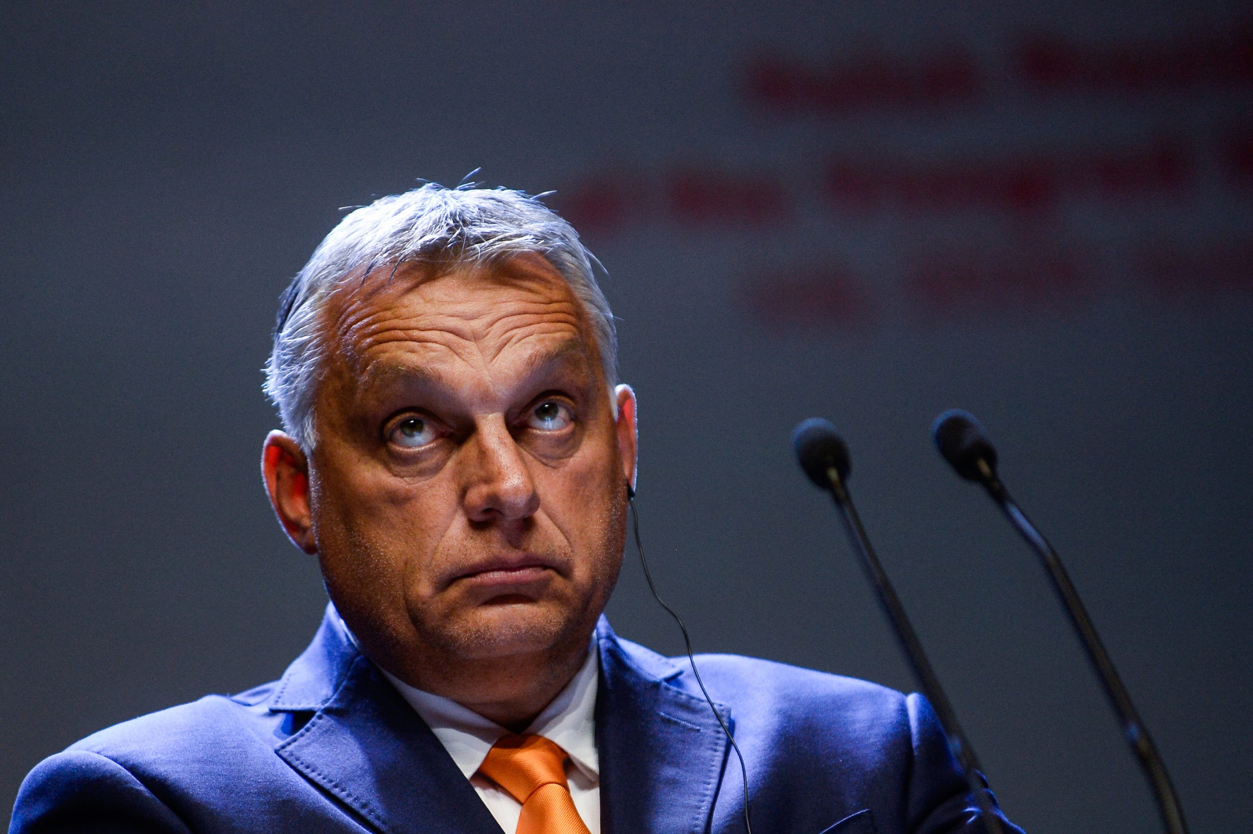 Orban Viktor photo 2